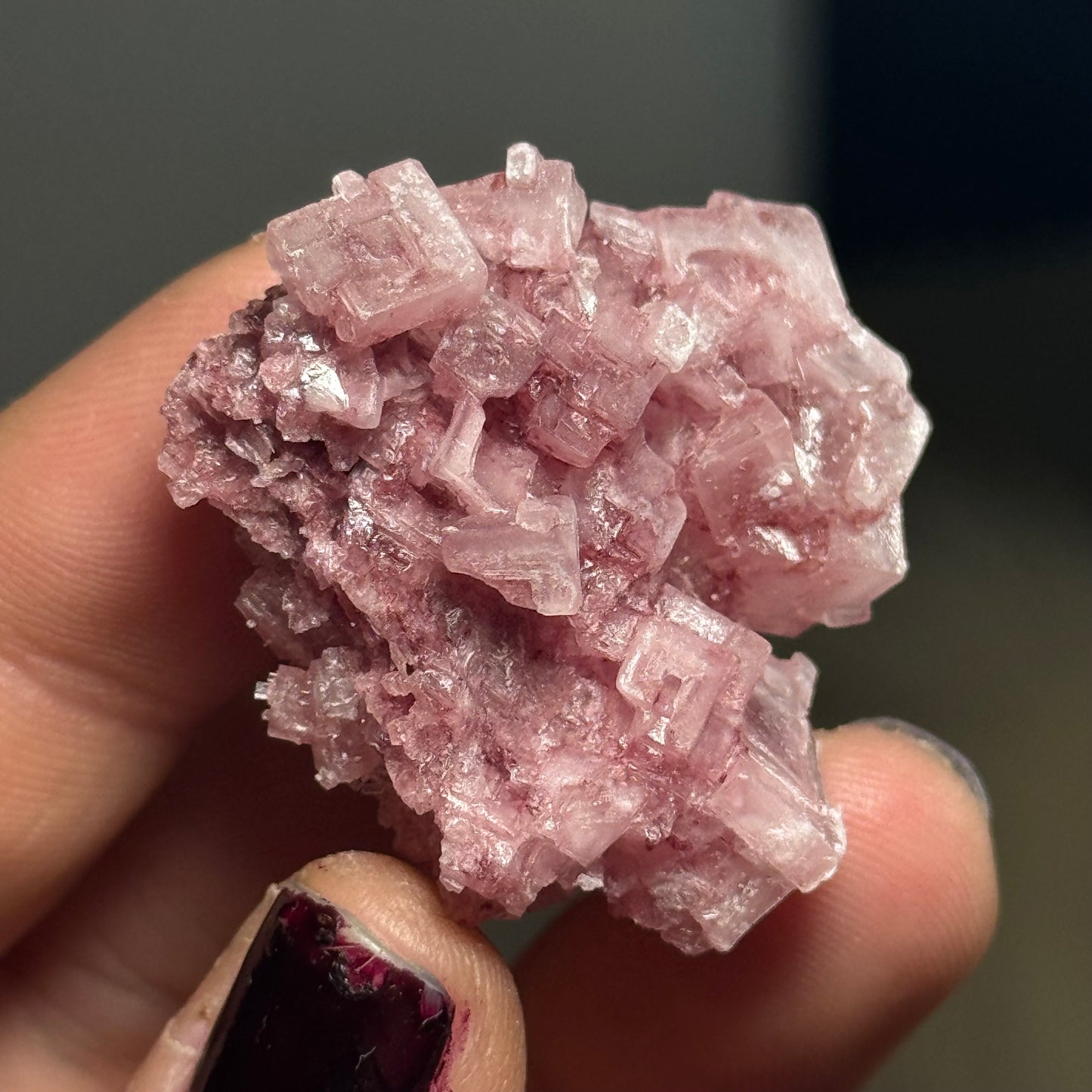Pink Halite, California