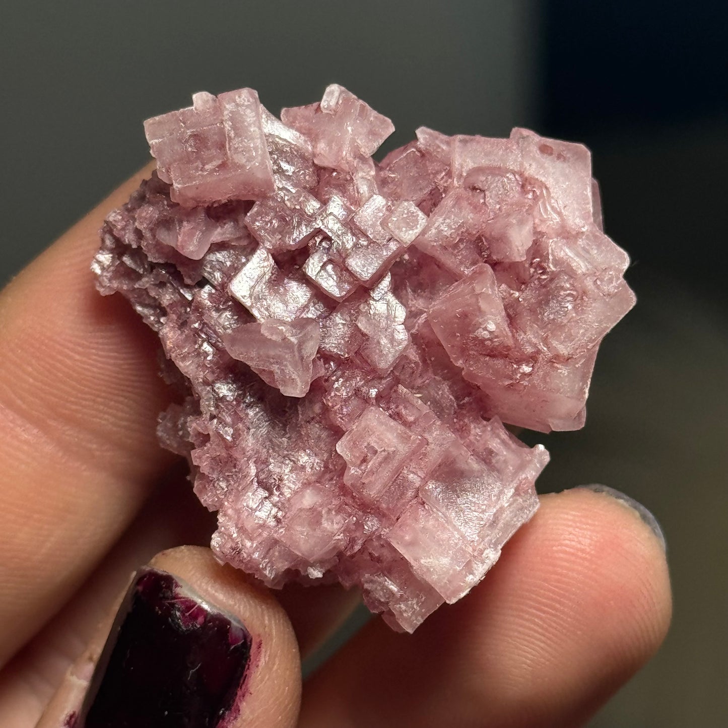 Pink Halite, California