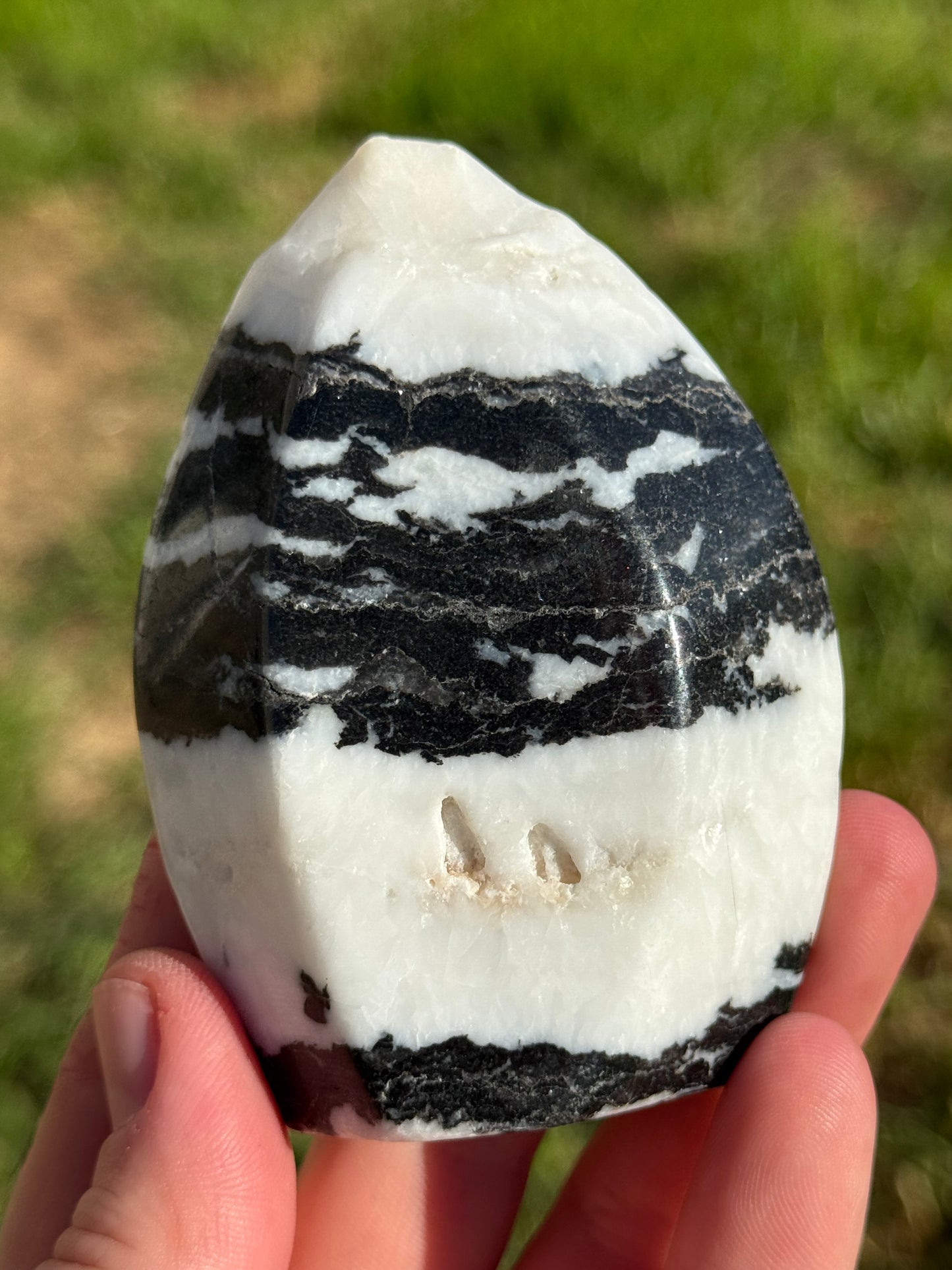 Zebra Jasper Flame