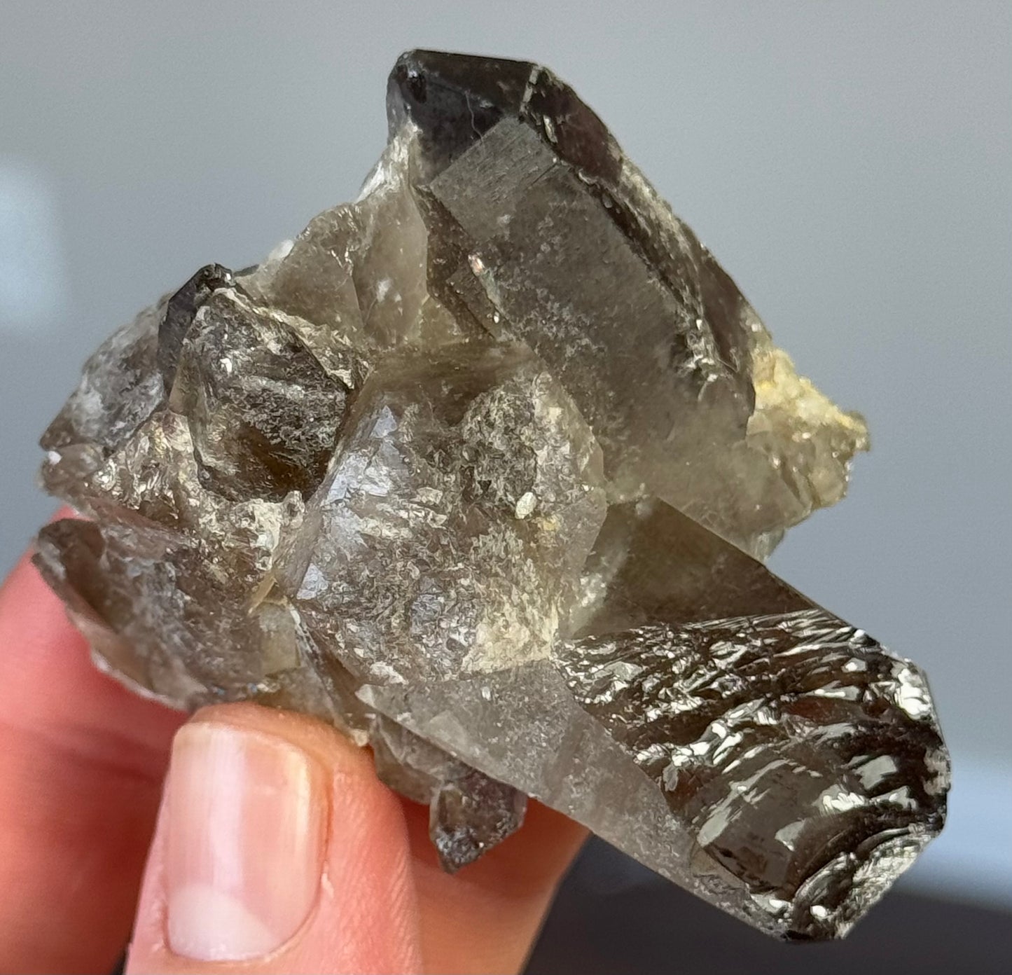 Smoky Quartz Points
