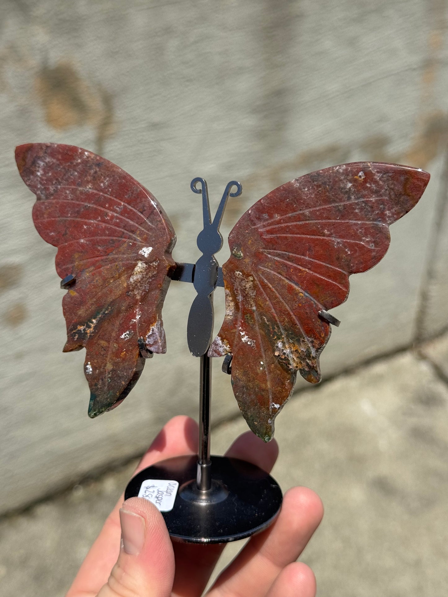 Ocean Jasper Butterfly Wings