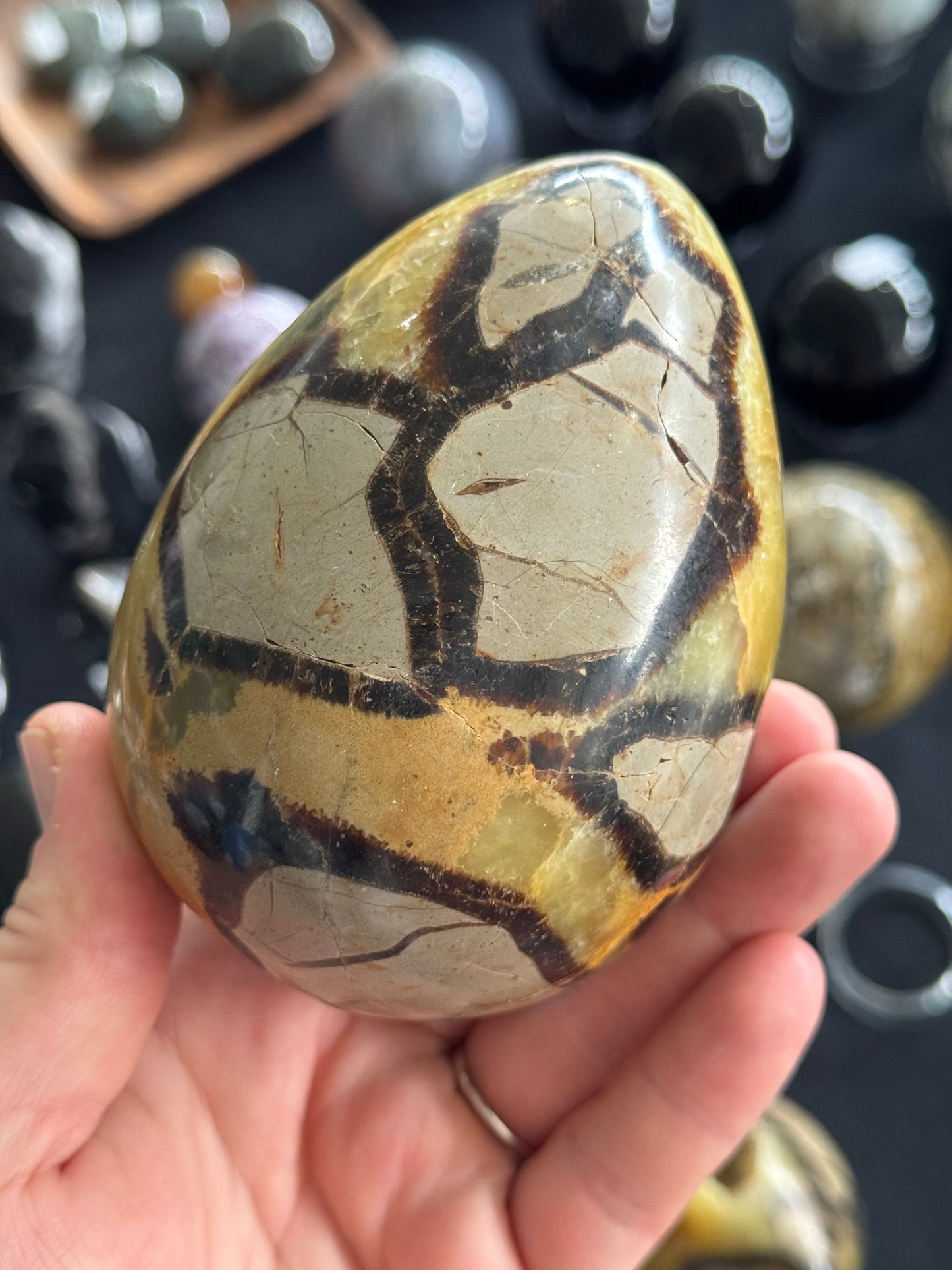 Septarian Egg