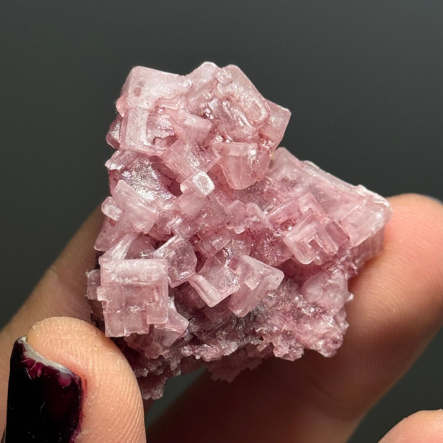 Pink Halite, California