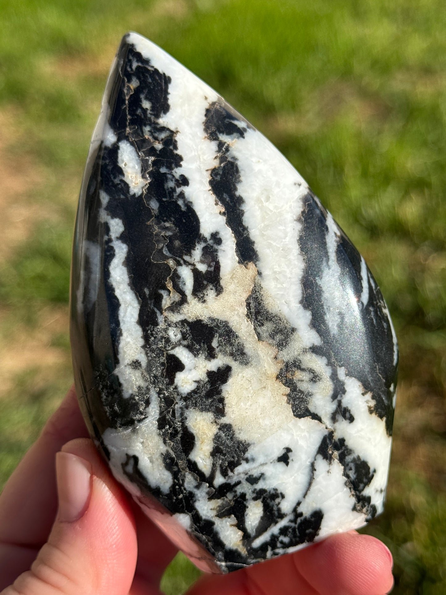 Zebra Jasper Flame