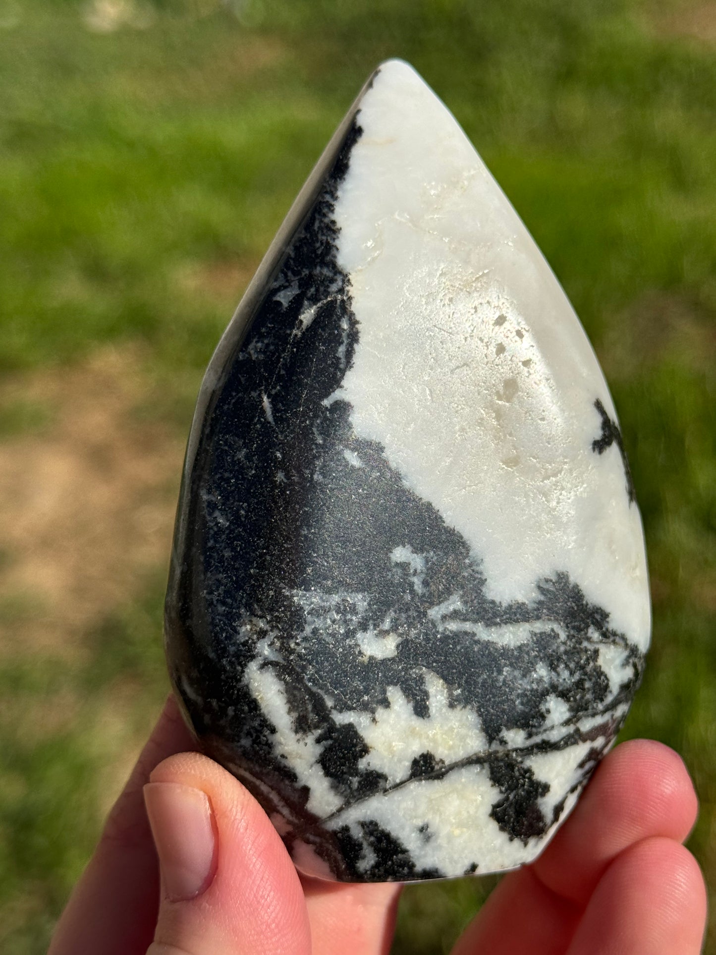 Zebra Jasper Flame
