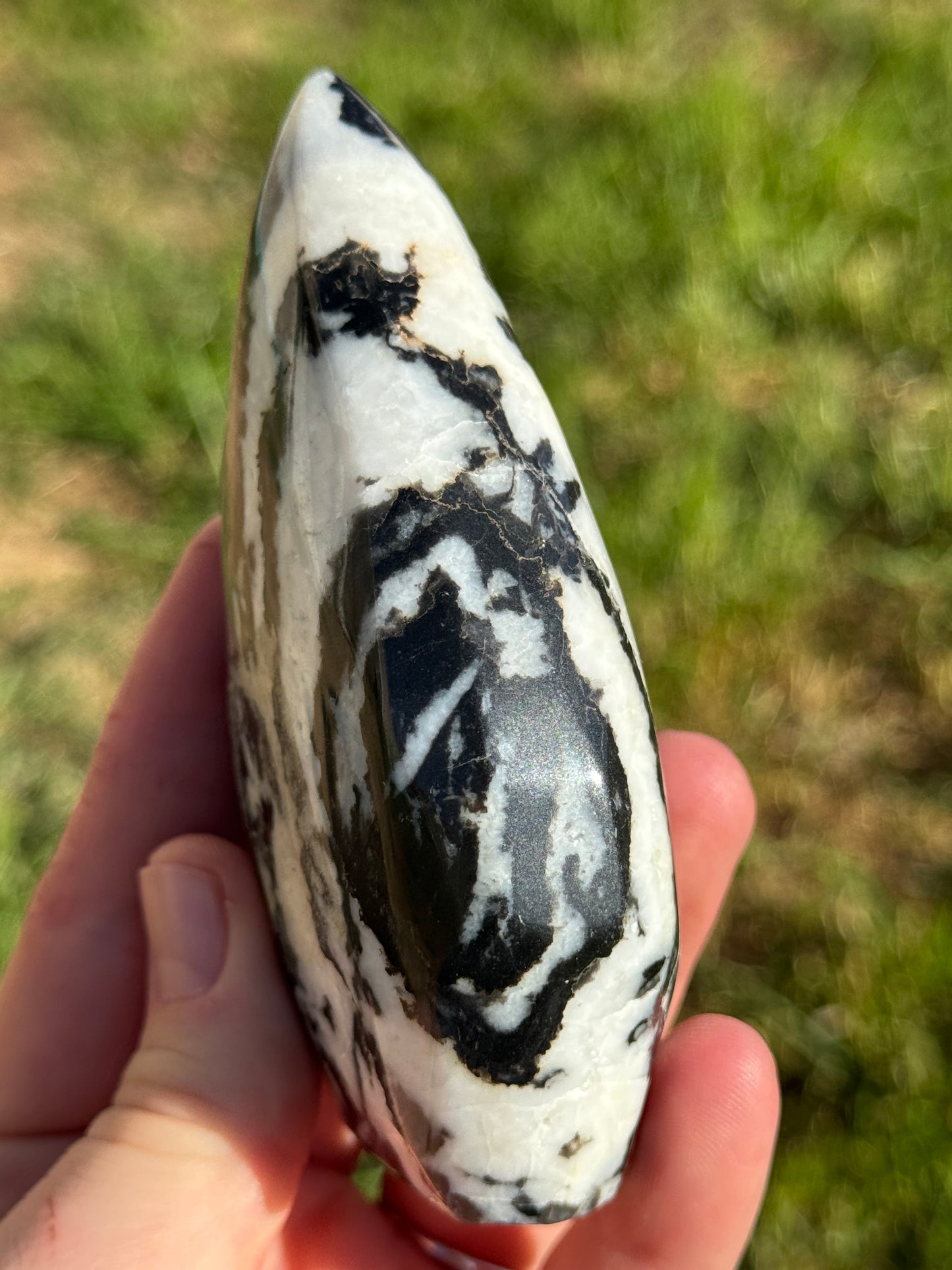 Zebra Jasper Flame