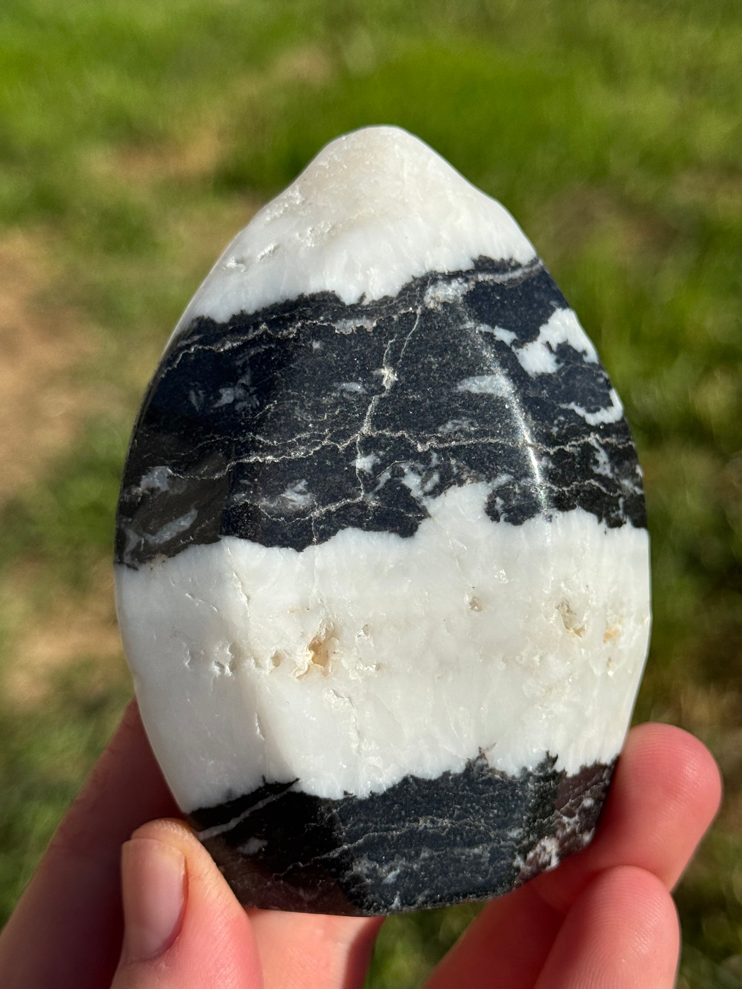 Zebra Jasper Flame