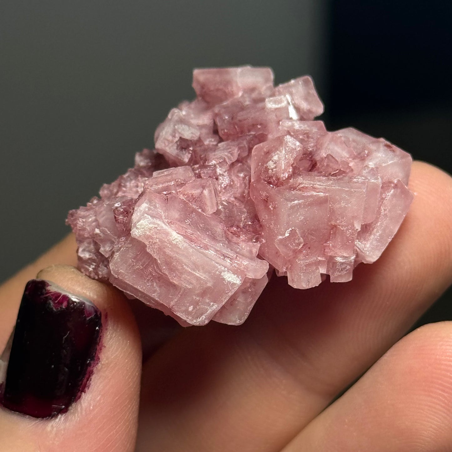 Pink Halite, California