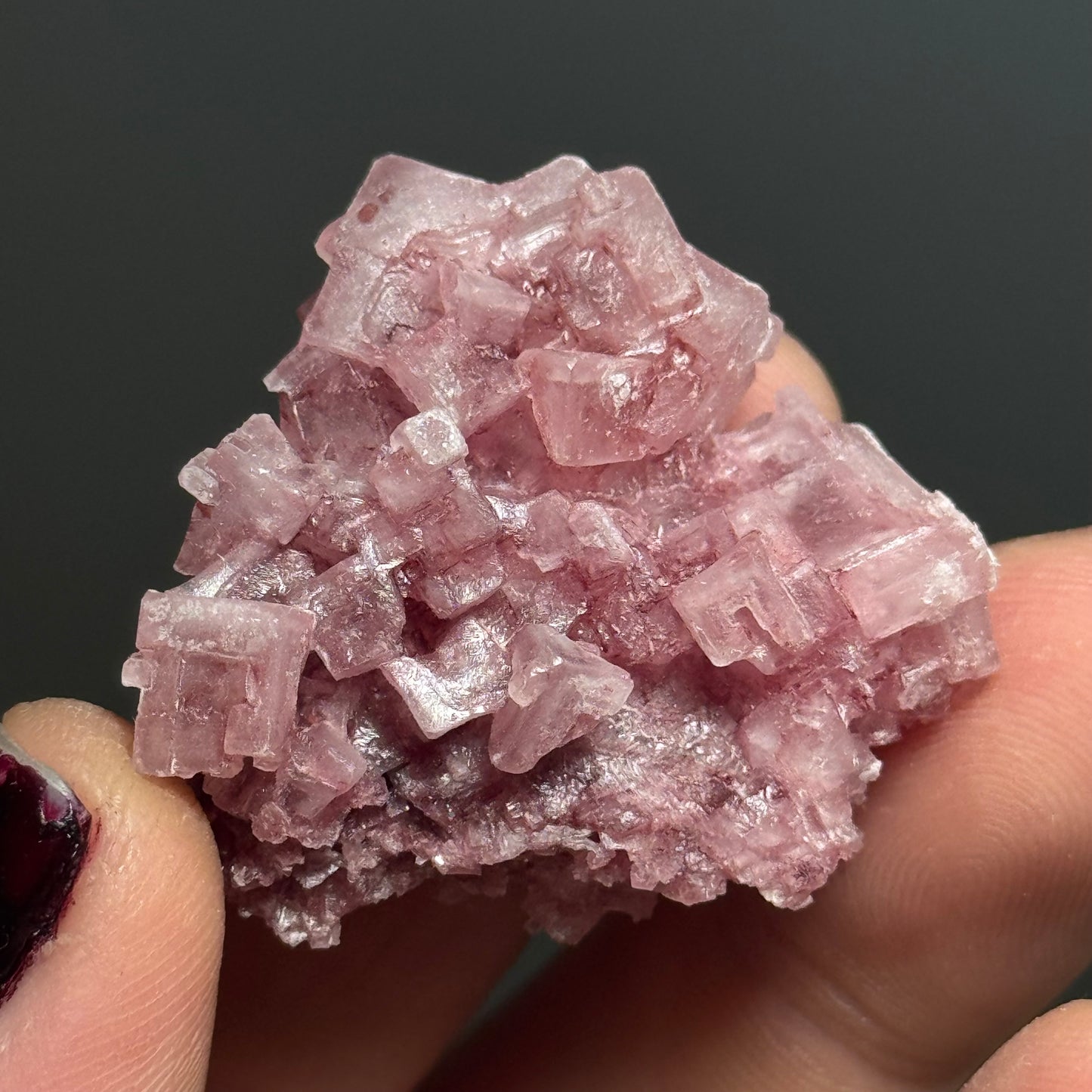 Pink Halite, California