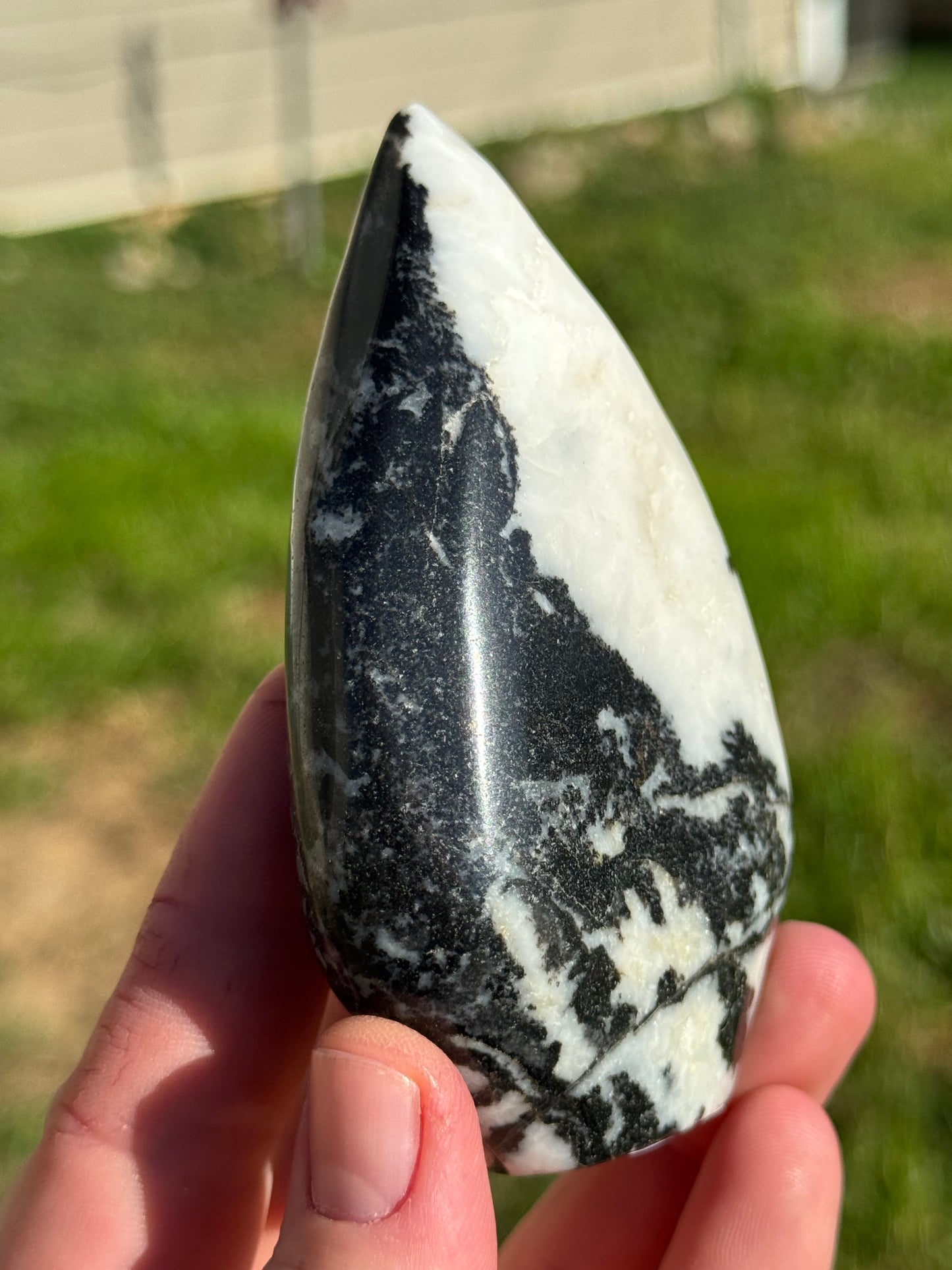 Zebra Jasper Flame