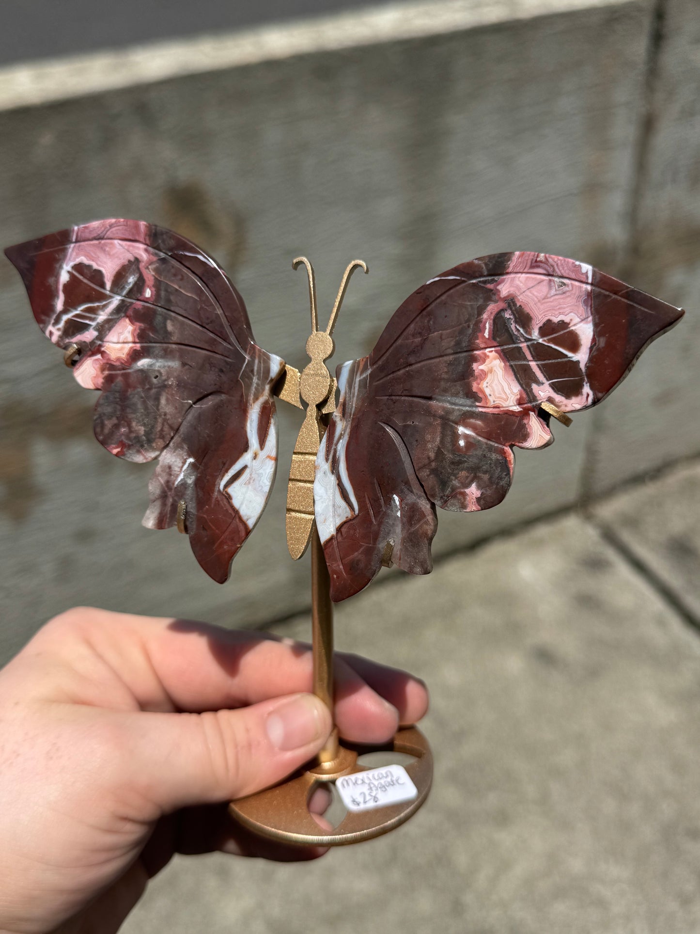Mexican Lace Agate Butterly Wings