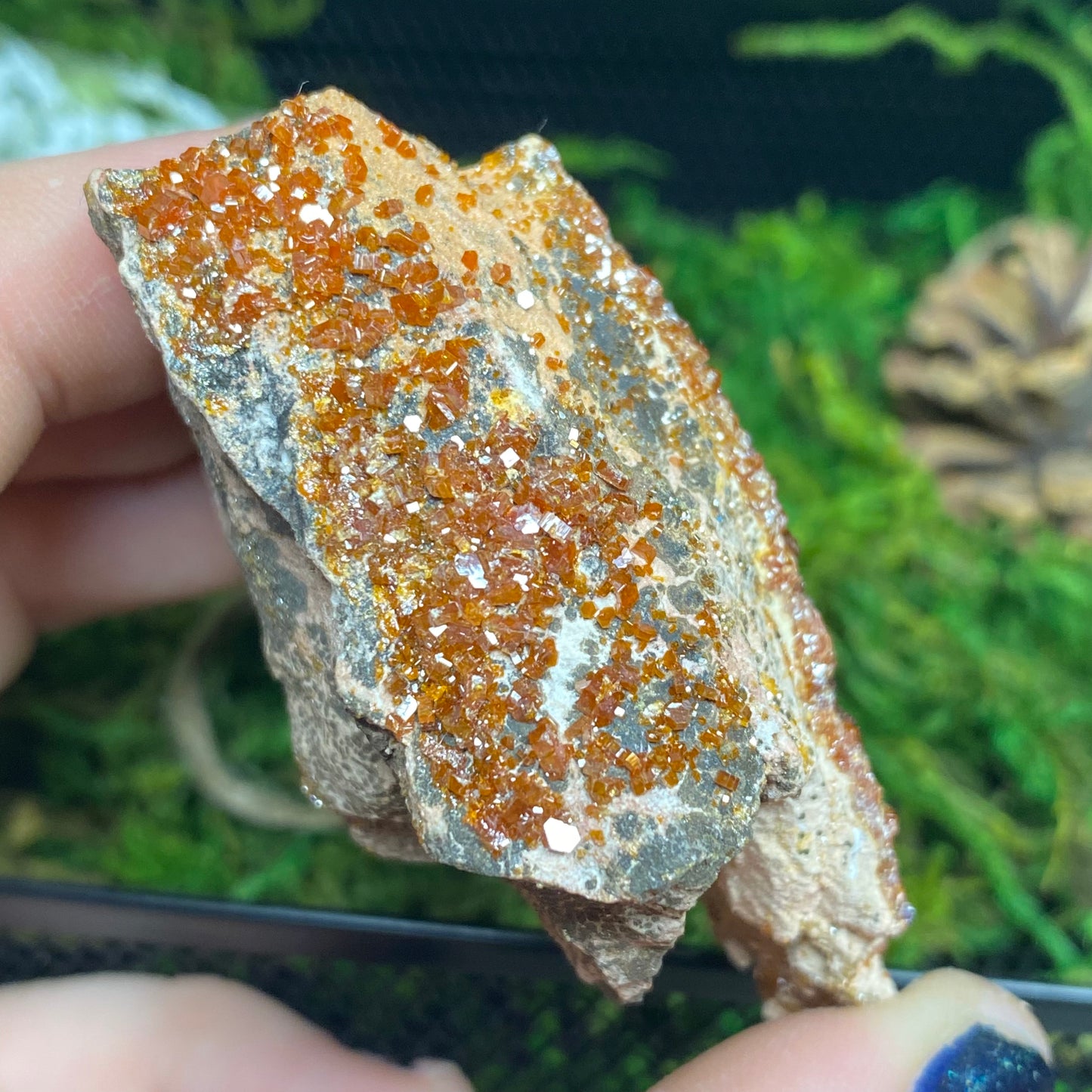 Vanadinite Mineral Specimen, Lead Mineral , 3”x2”