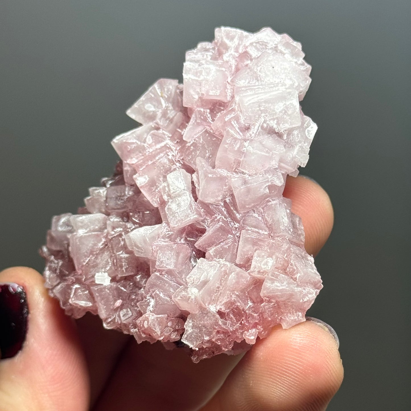 Pink Halite, California