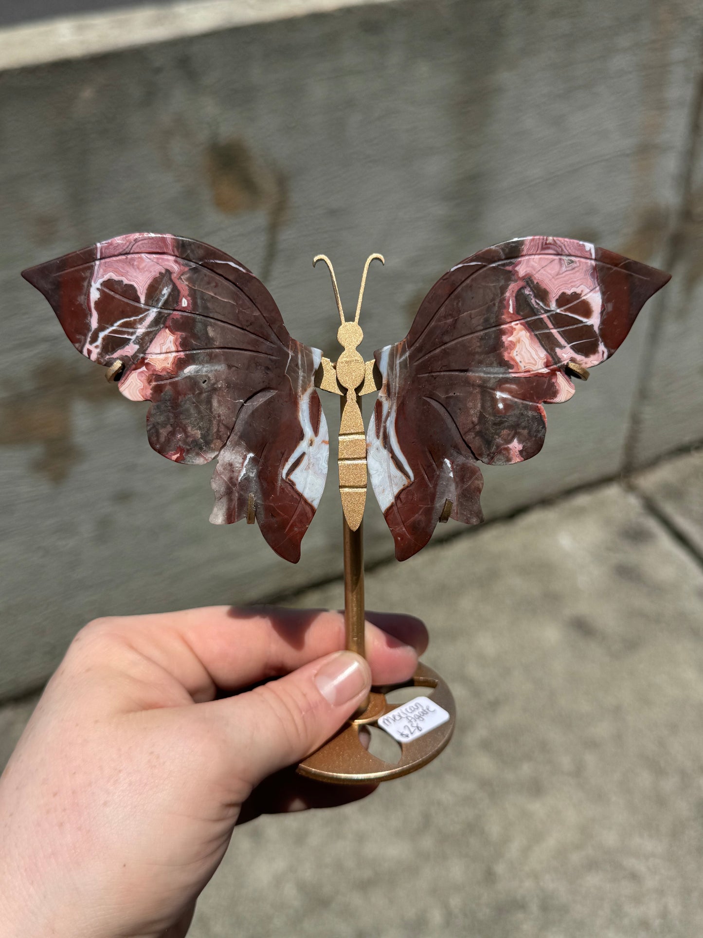 Mexican Lace Agate Butterly Wings