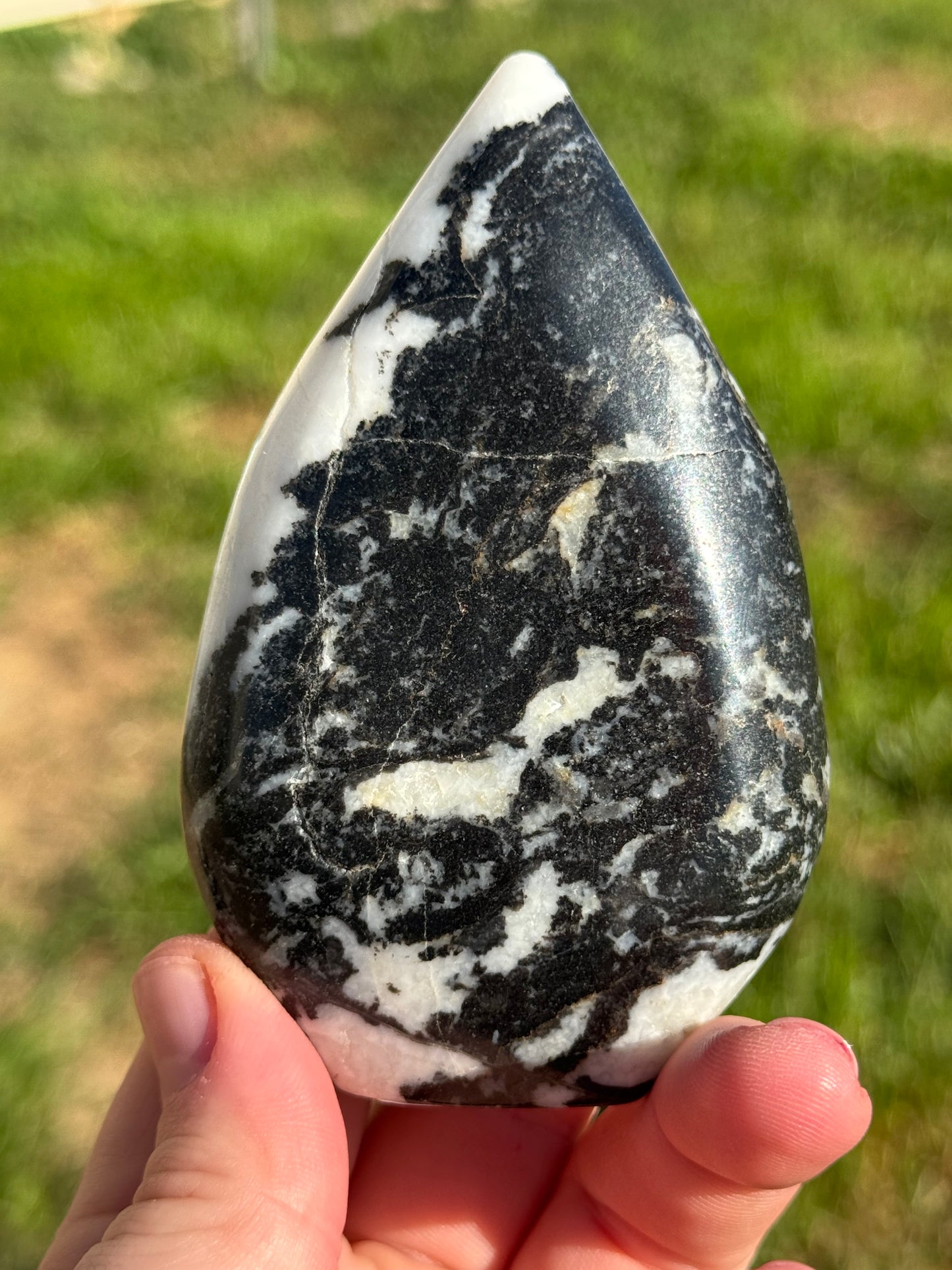 Zebra Jasper Flame