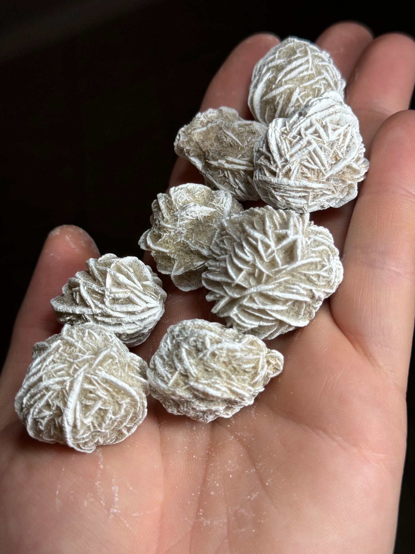 Desert Rose Cluster