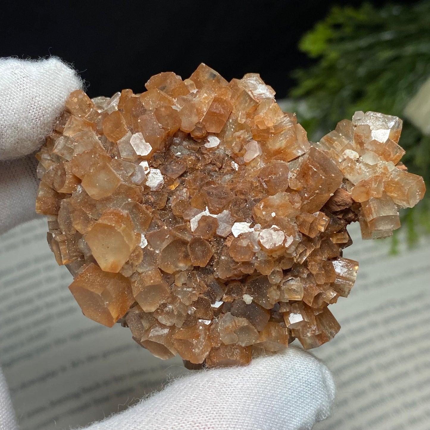 Aragonite Crystal Cluster Specimen, Morocco 2.5”x2”