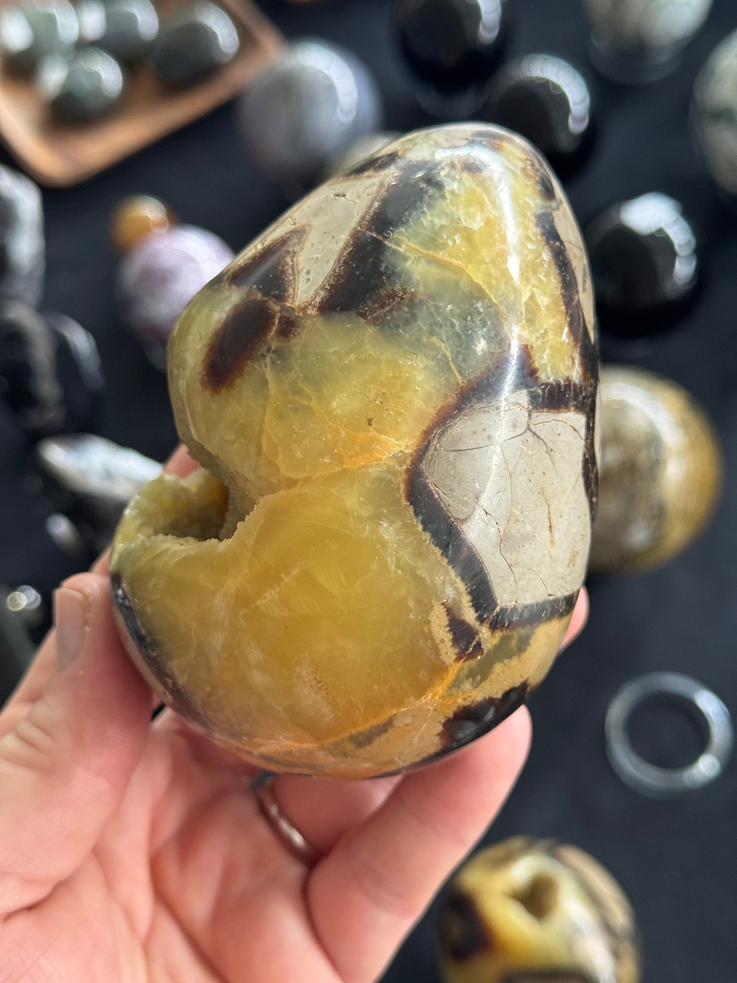 Septarian Egg