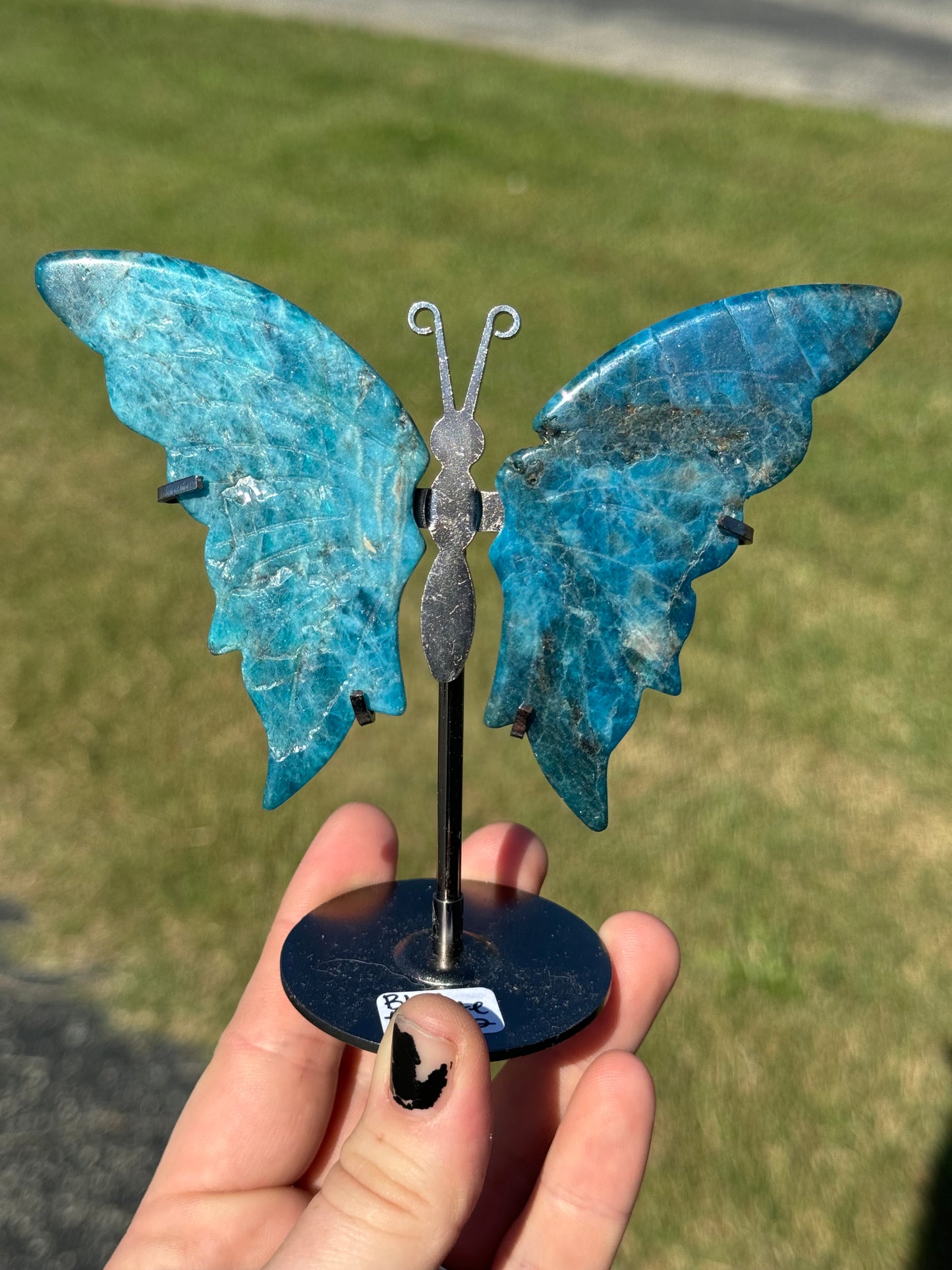 Blue Apatite Butterfly Wings