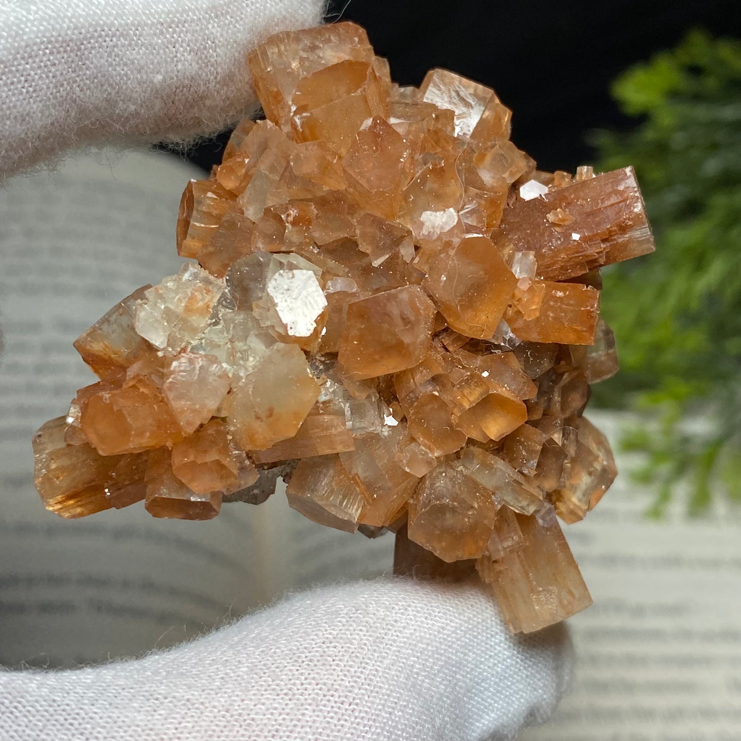 Aragonite Crystal Cluster Specimen, Morocco 2.5”x2”