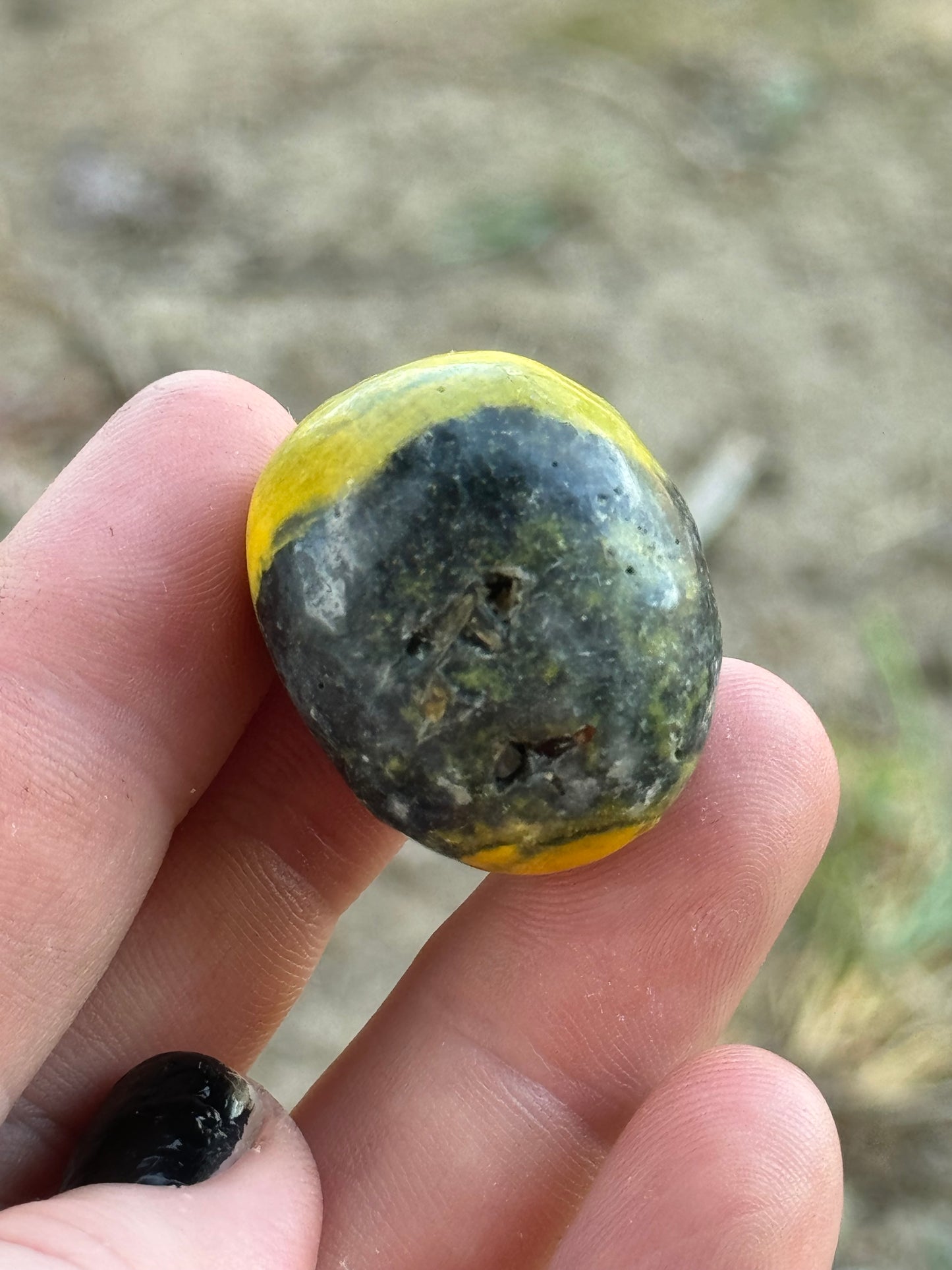 Bumblebee Jasper Tumble