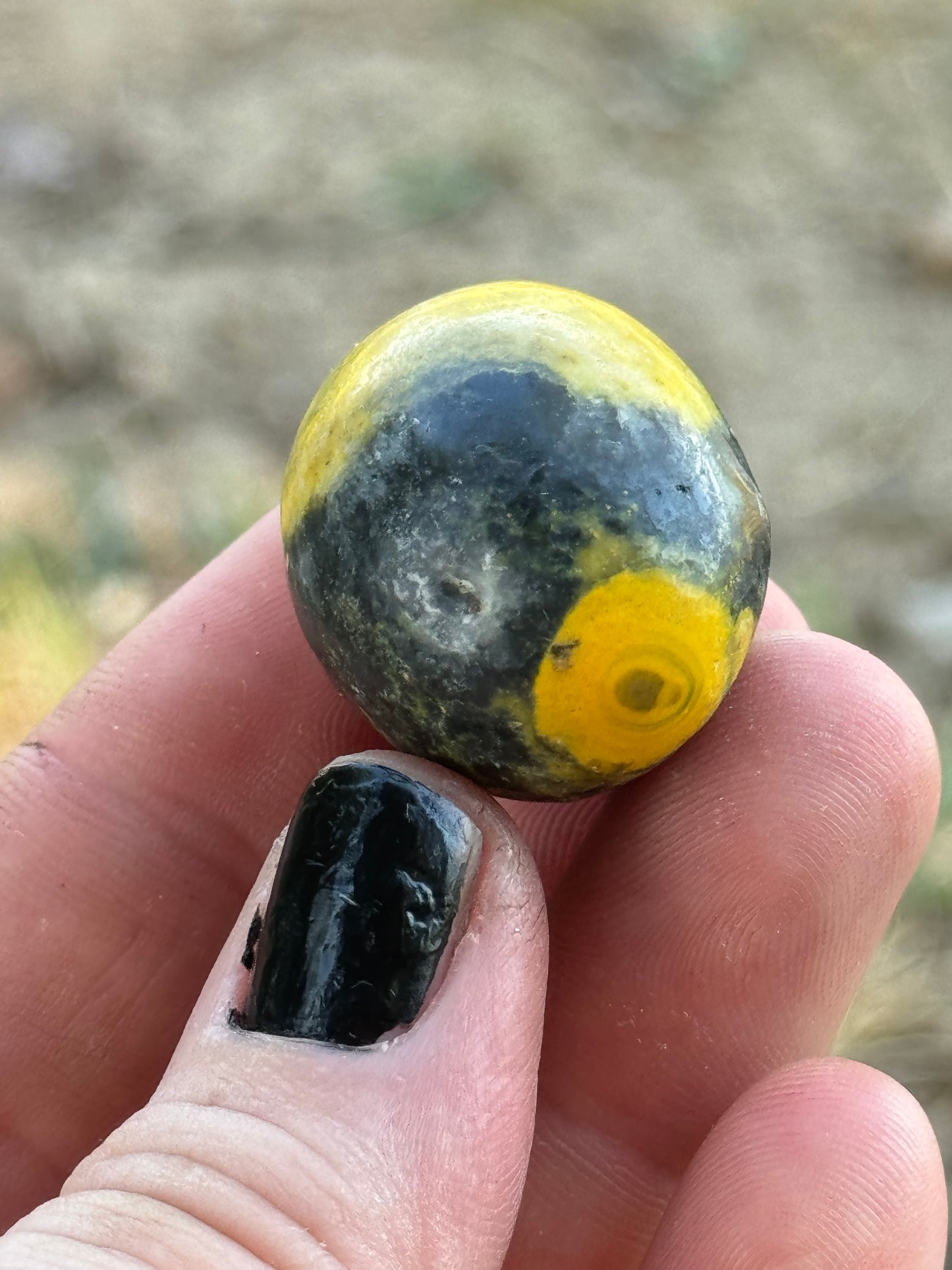 Bumblebee Jasper Tumble