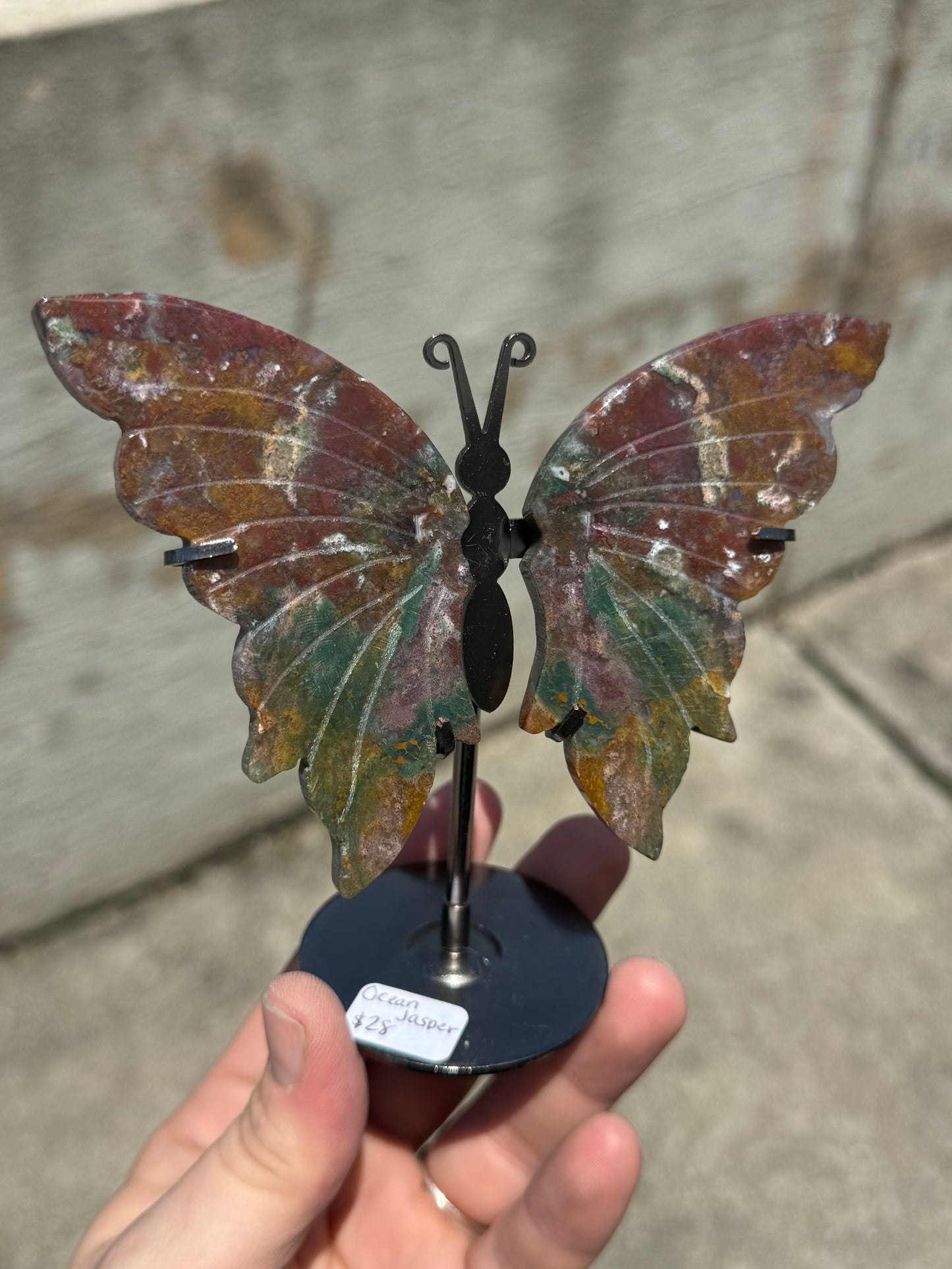 Ocean Jasper Butterfly