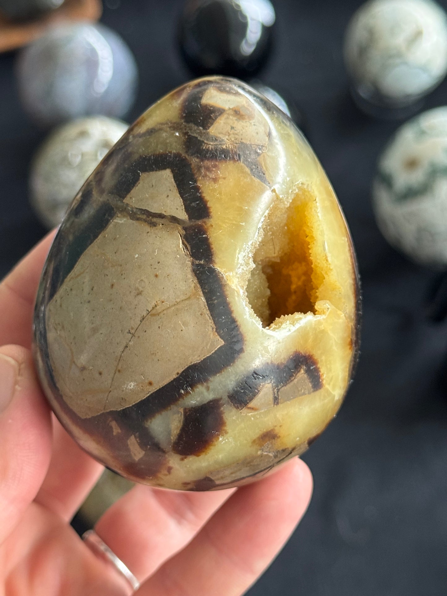 Septarian Egg