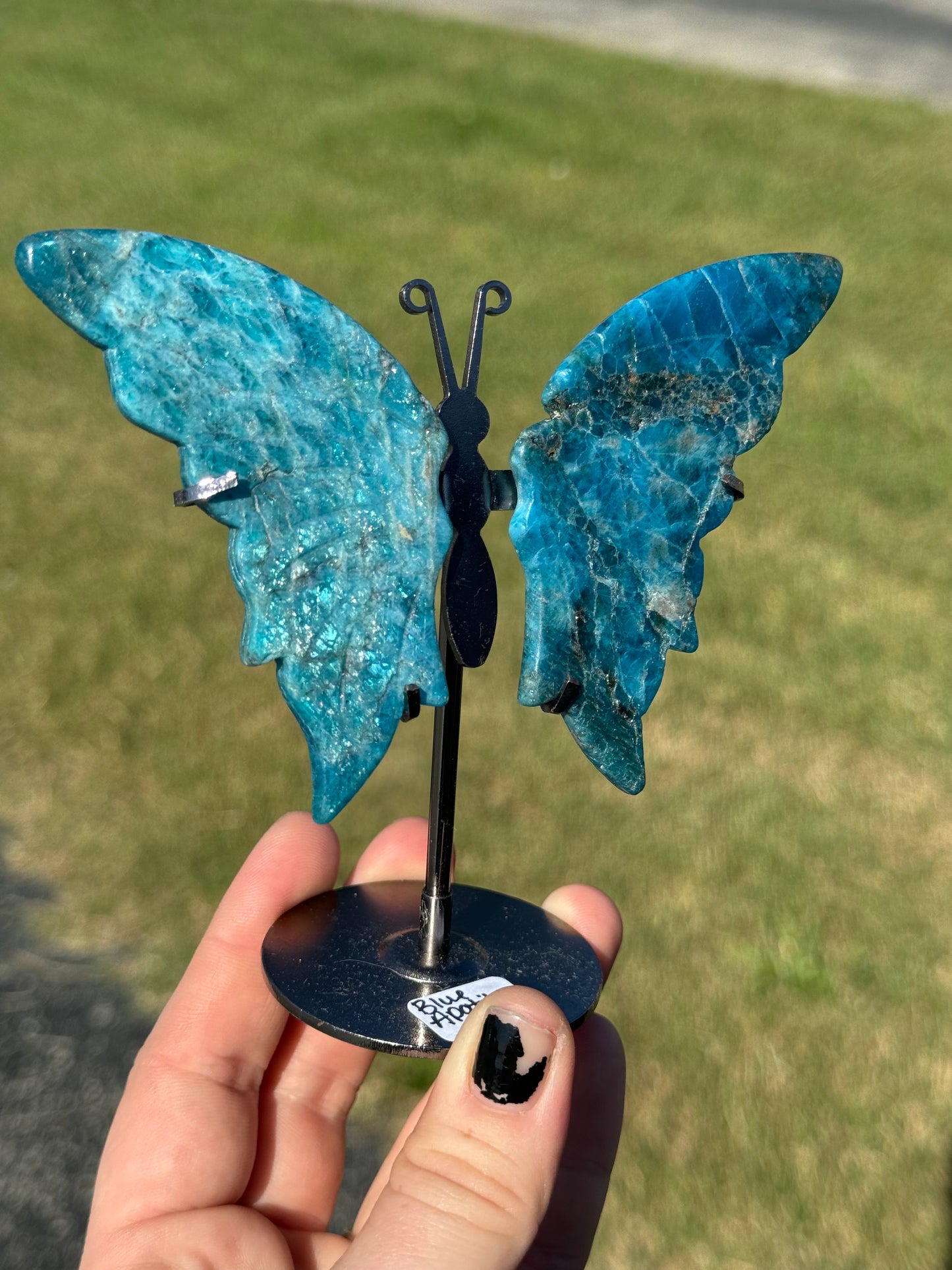 Blue Apatite Butterfly Wings