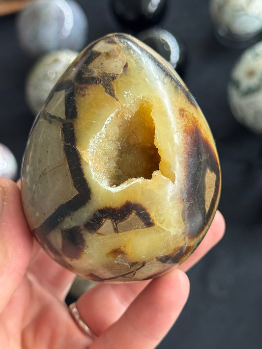 Septarian Egg