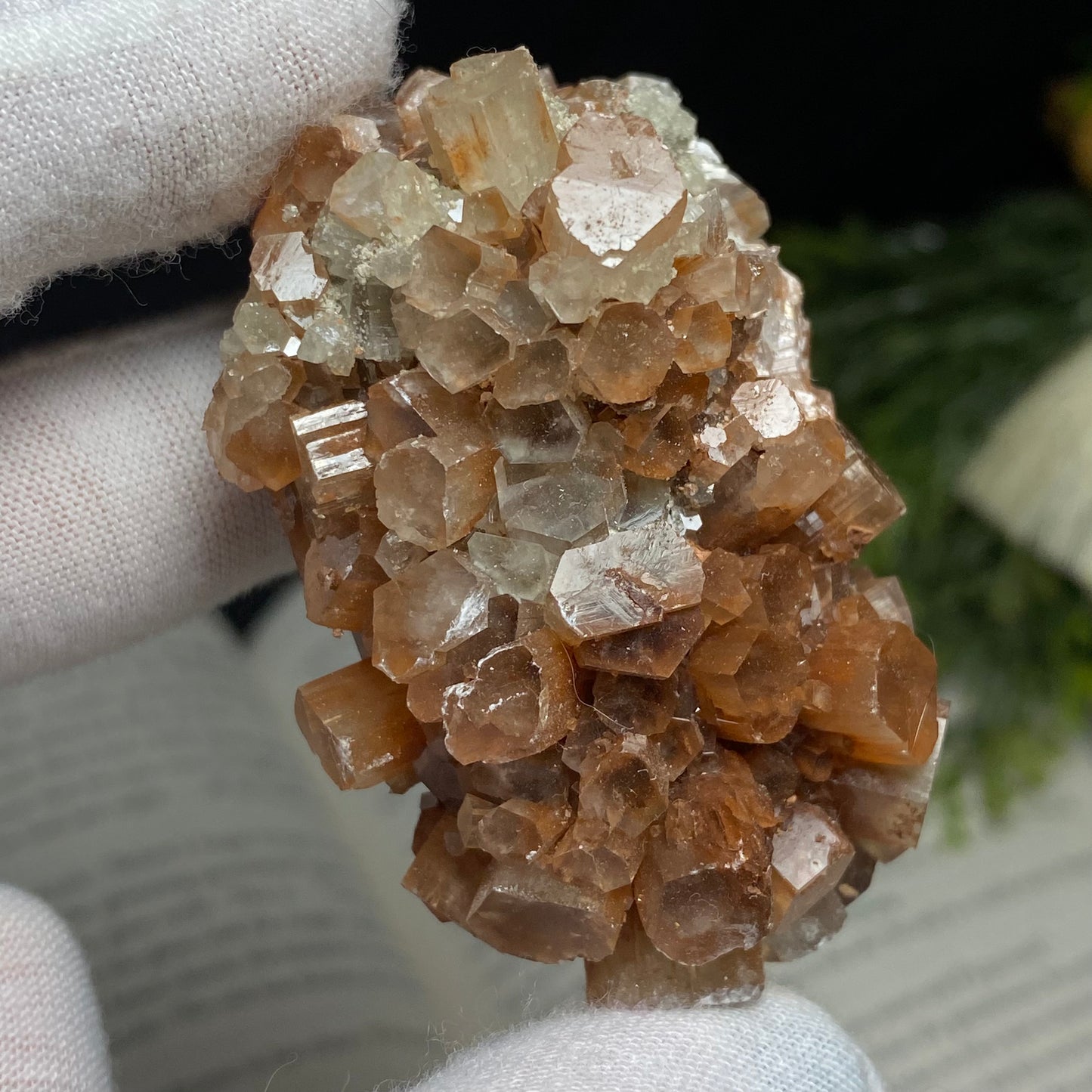 Aragonite Crystal Cluster Specimen, Morocco 6cm