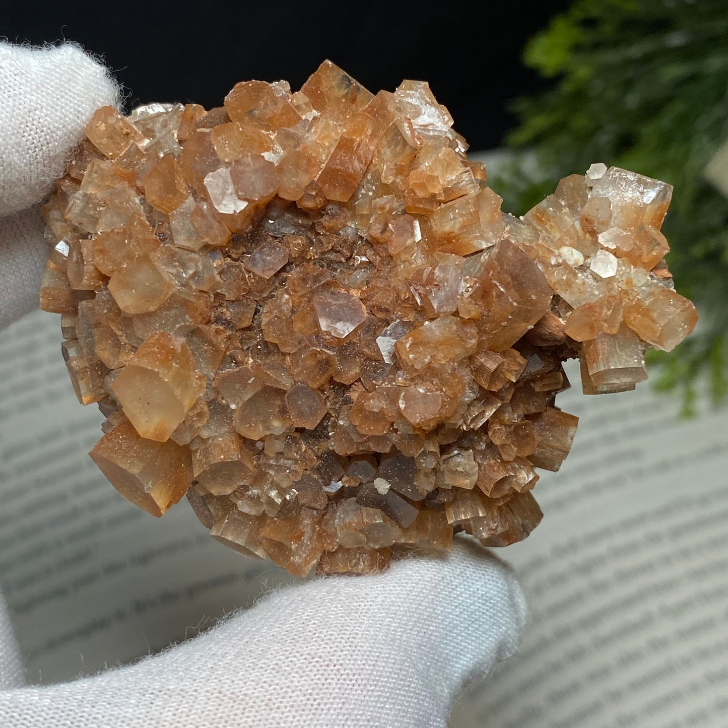 Aragonite Crystal Cluster Specimen, Morocco 2.5”x2”