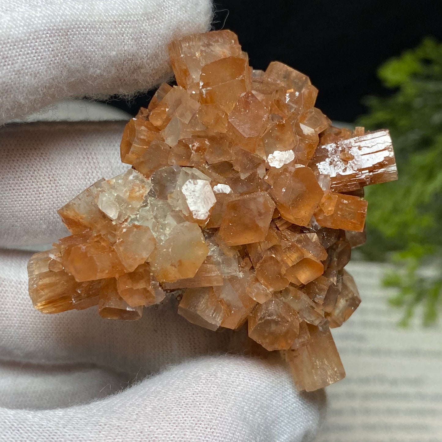 Aragonite Crystal Cluster Specimen, Morocco 2.5”x2”