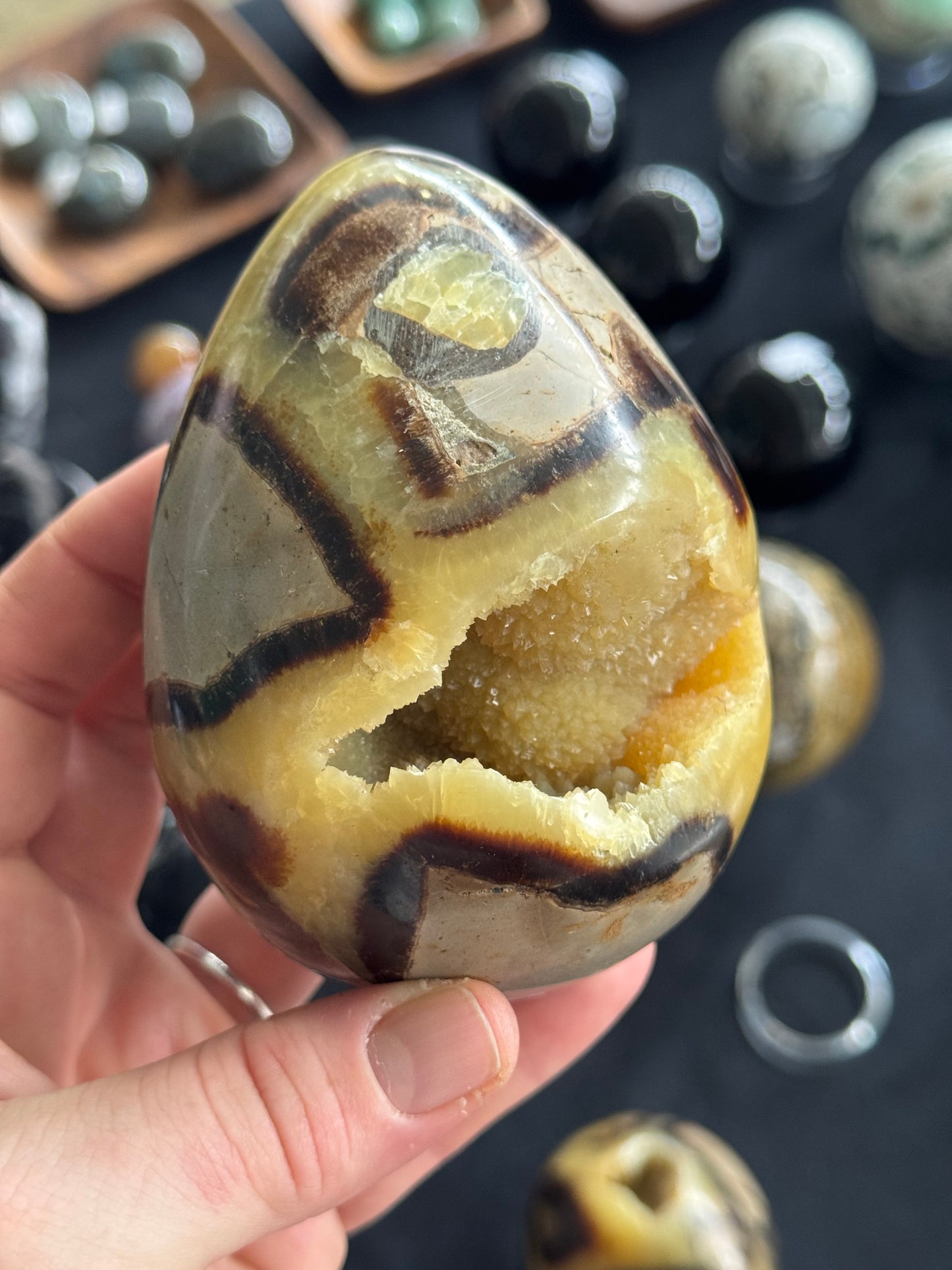 Septarian Egg