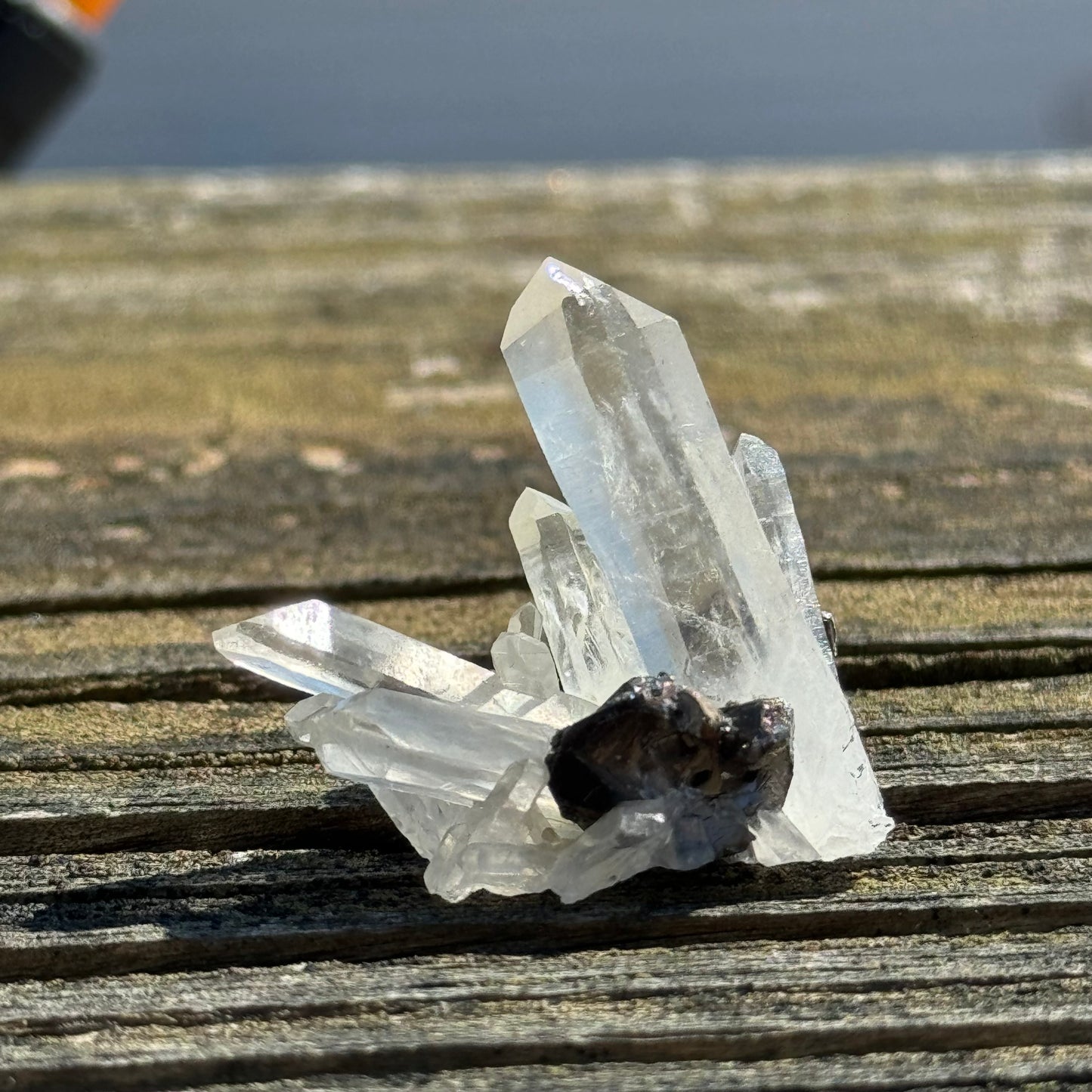 Quartz with Pyrite, Indonesia