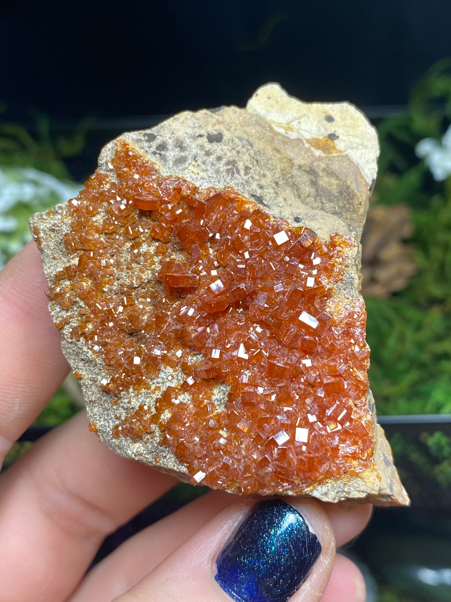 Vanadinite Mineral Specimen, 2.5”x1.5”