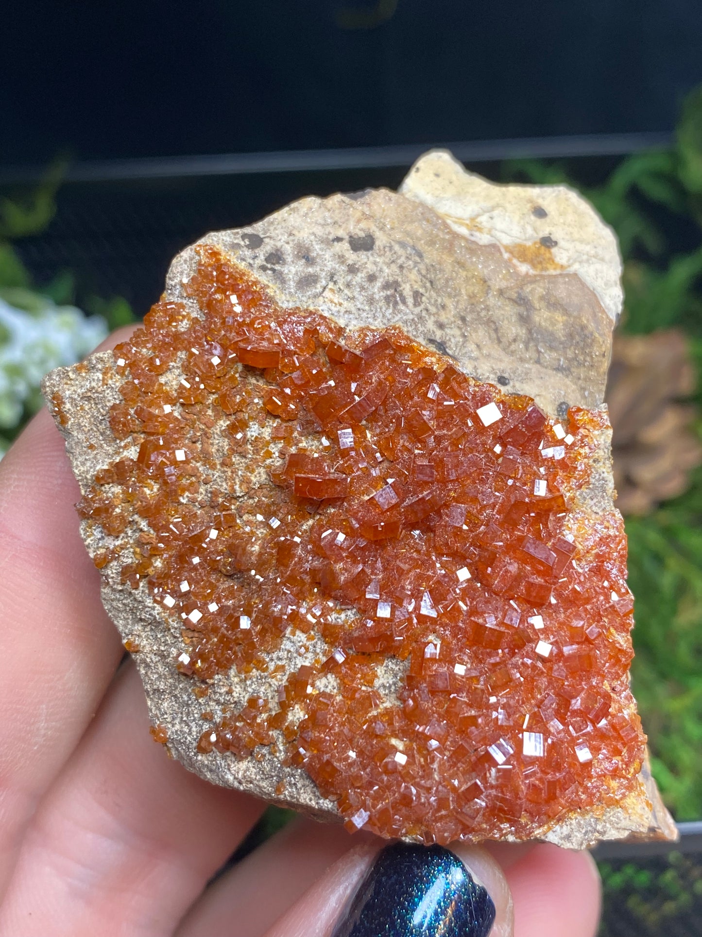 Vanadinite Mineral Specimen, 2.5”x1.5”