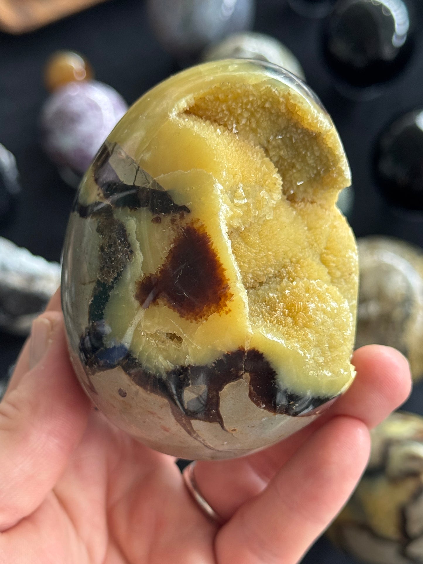 Septarian Egg