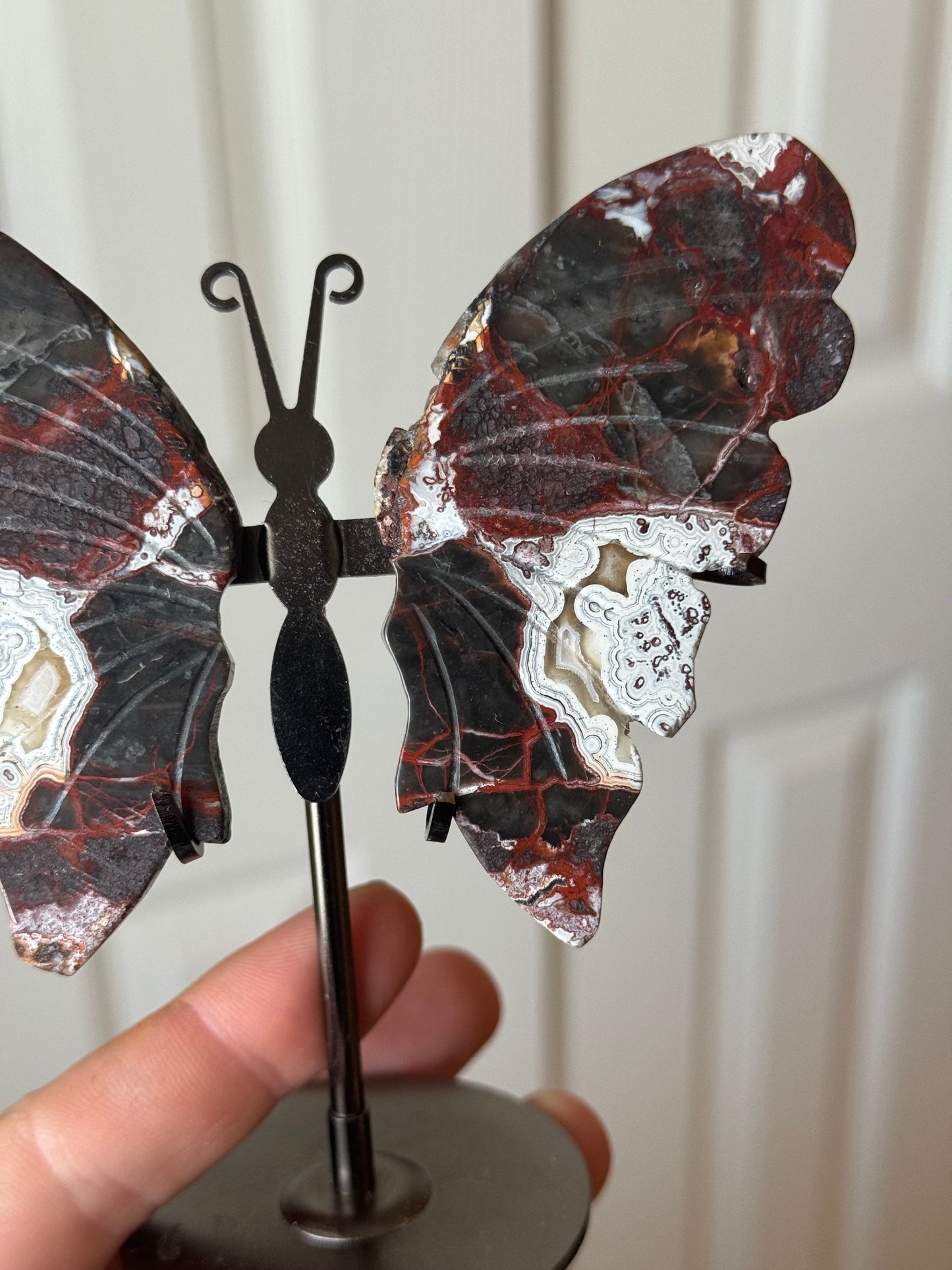 Mexican Lace Agate Butterfly