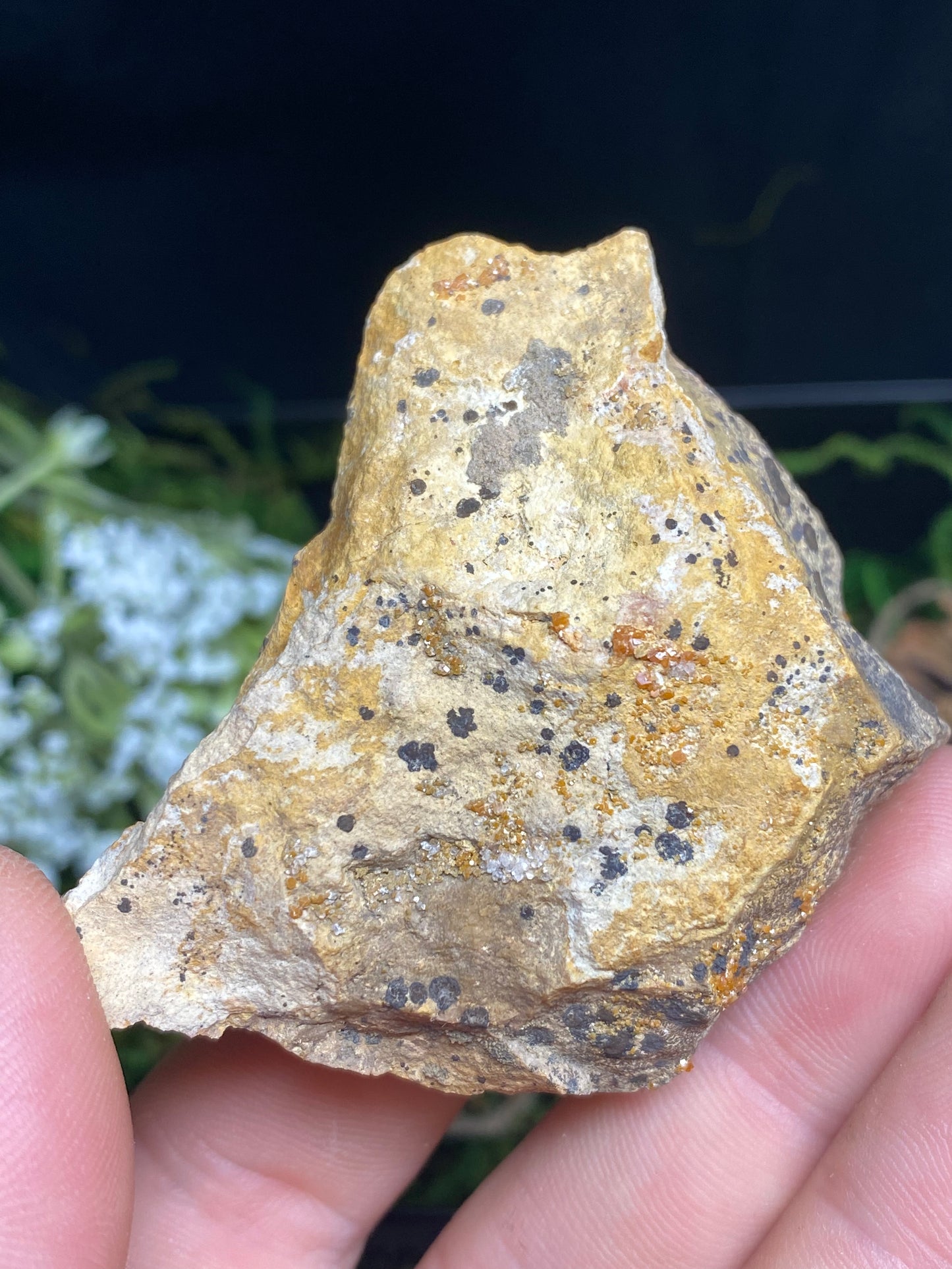 Vanadinite Mineral Specimen, 2.5”x1.5”