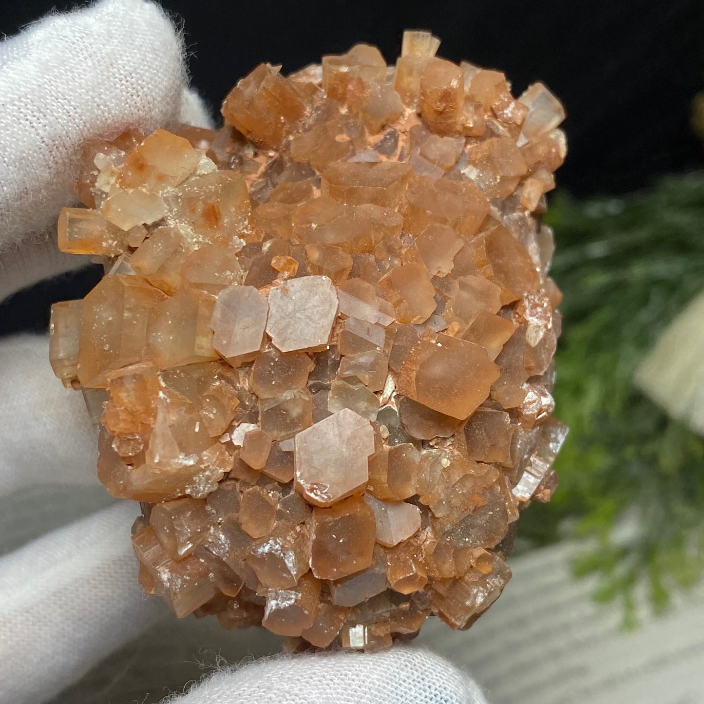 Aragonite Crystal Cluster Specimen, Morocco 3”x 2”