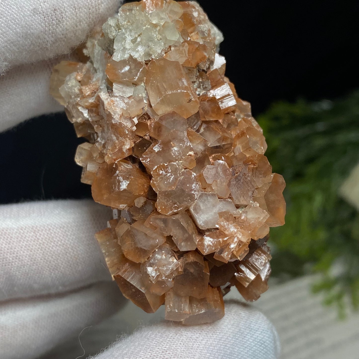 Aragonite Crystal Cluster Specimen, Morocco 6cm