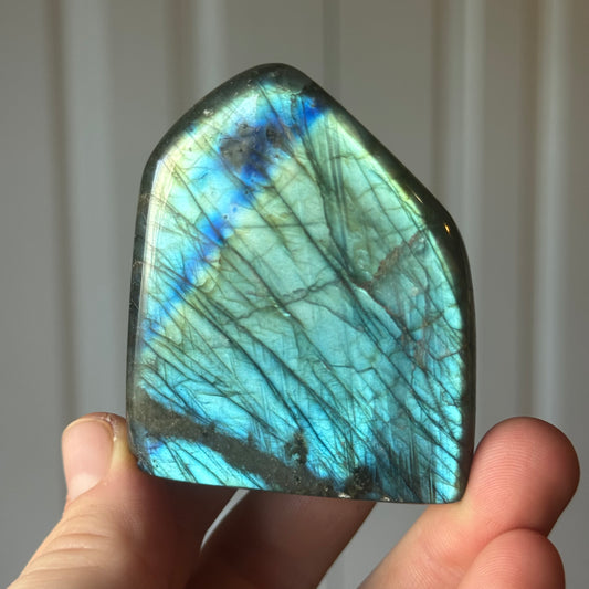 $50 Mystery Box ($100 value)