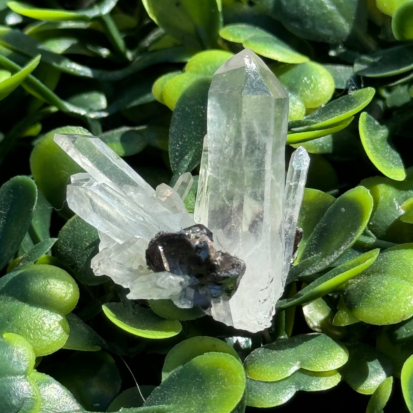 Quartz with Pyrite, Indonesia