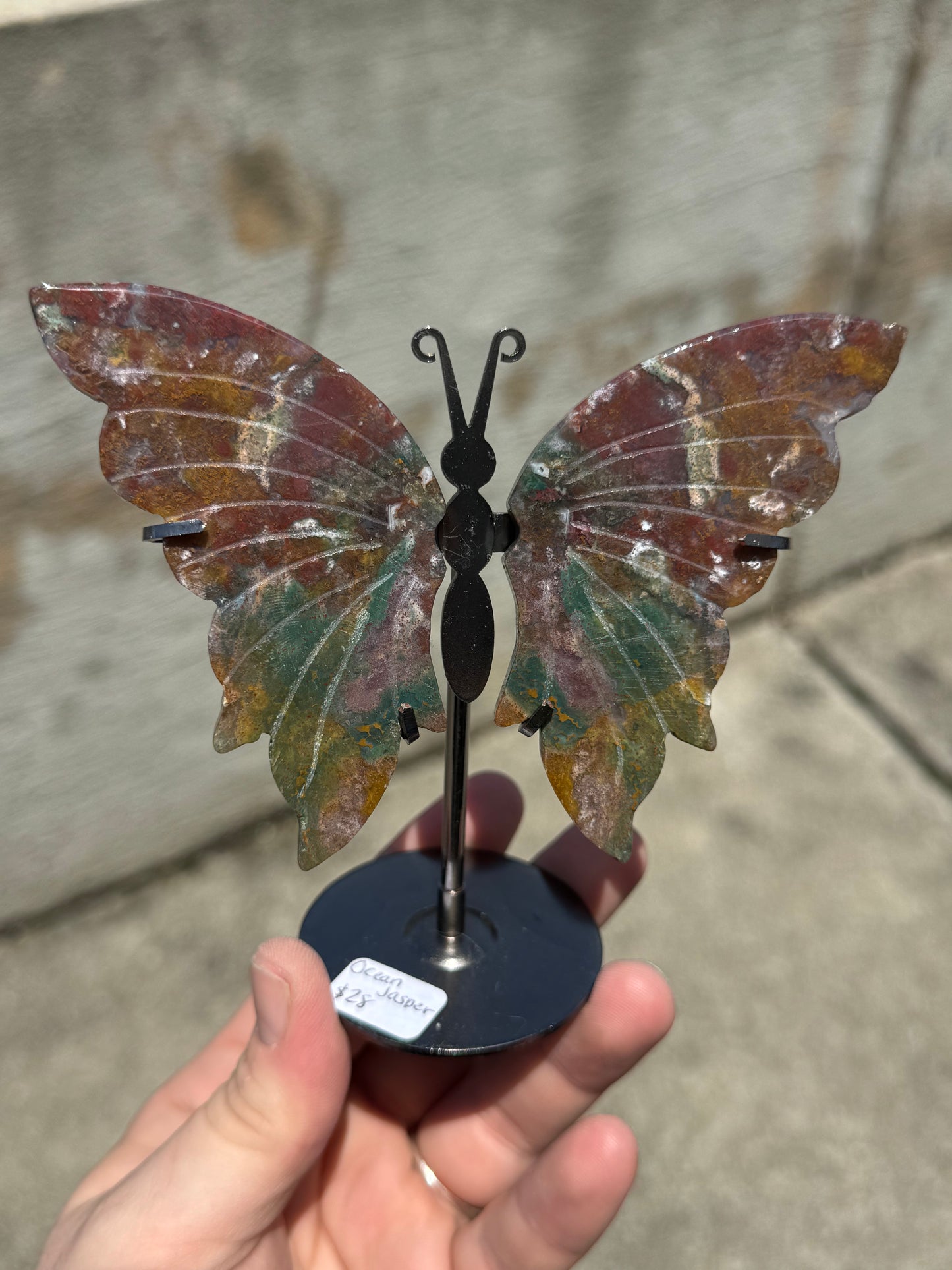 Ocean Jasper Butterfly