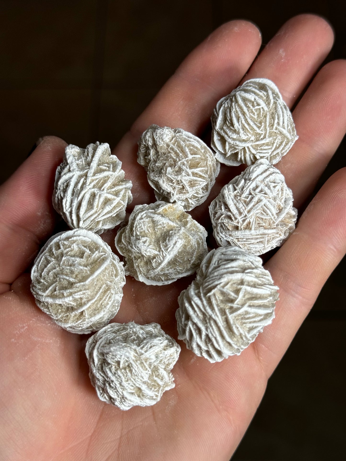 Desert Rose Cluster