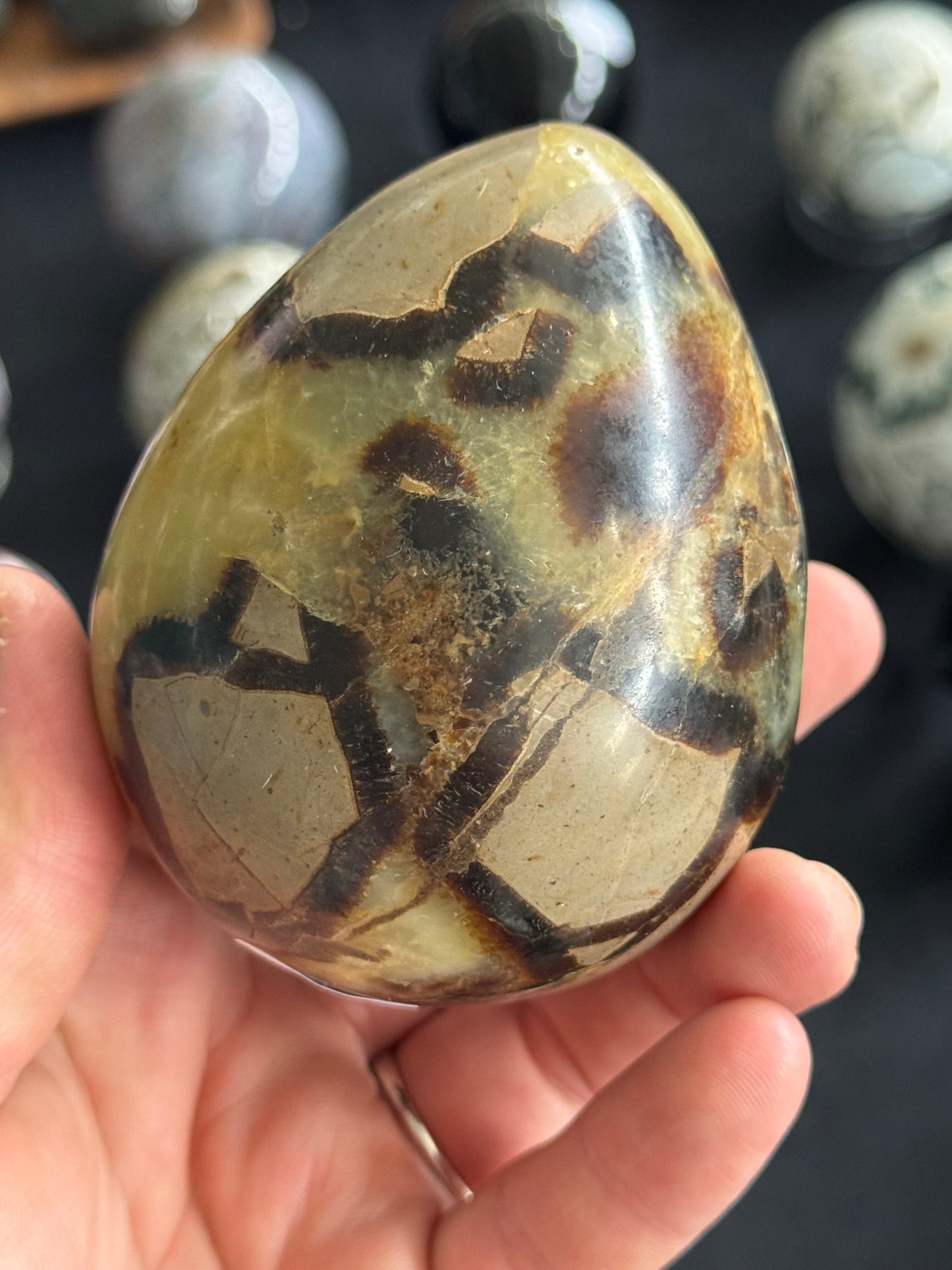 Septarian Egg