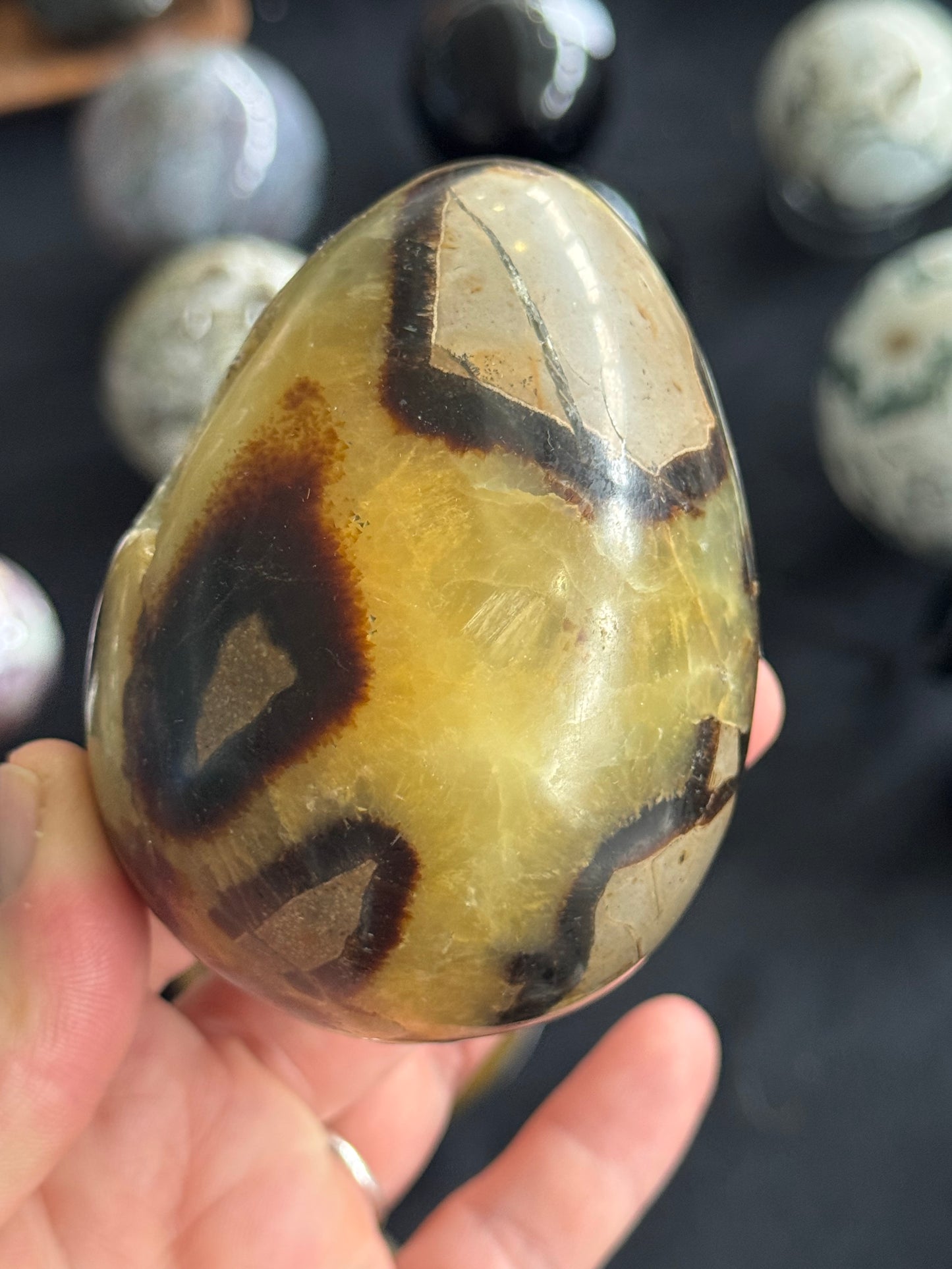 Septarian Egg
