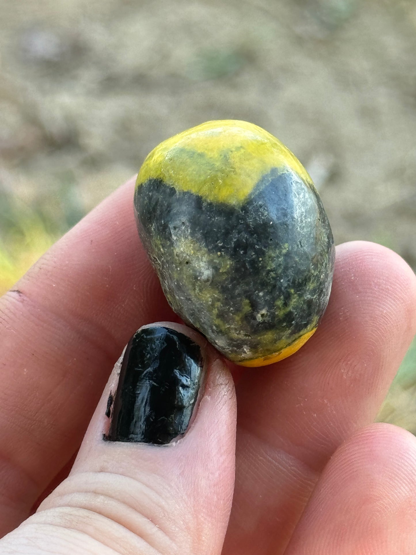 Bumblebee Jasper Tumble