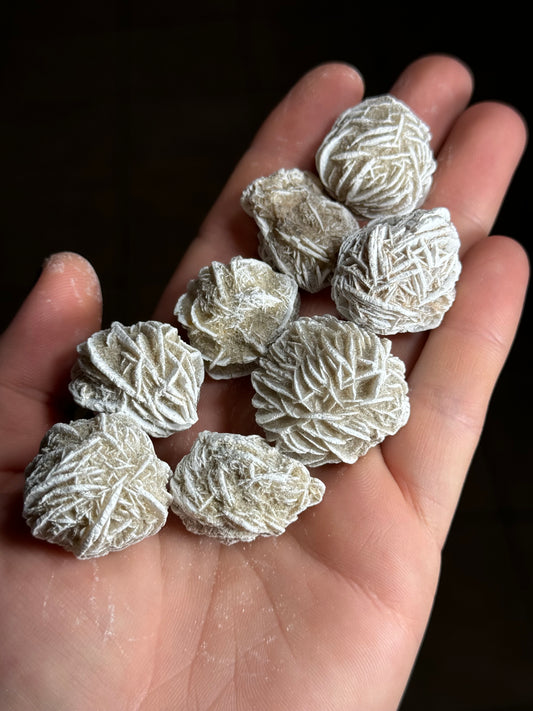Desert Rose Cluster